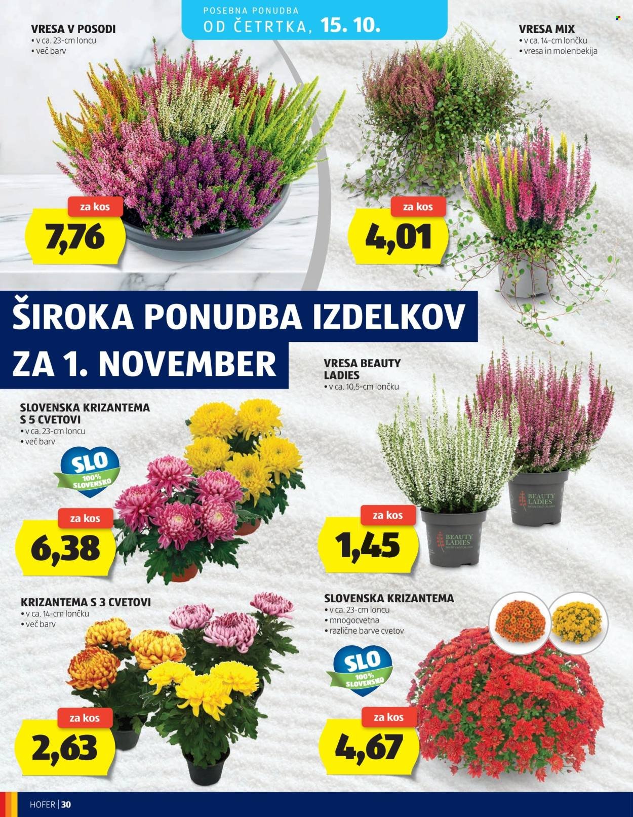 HOFER katalog - Od srede, 7. 10. 2026