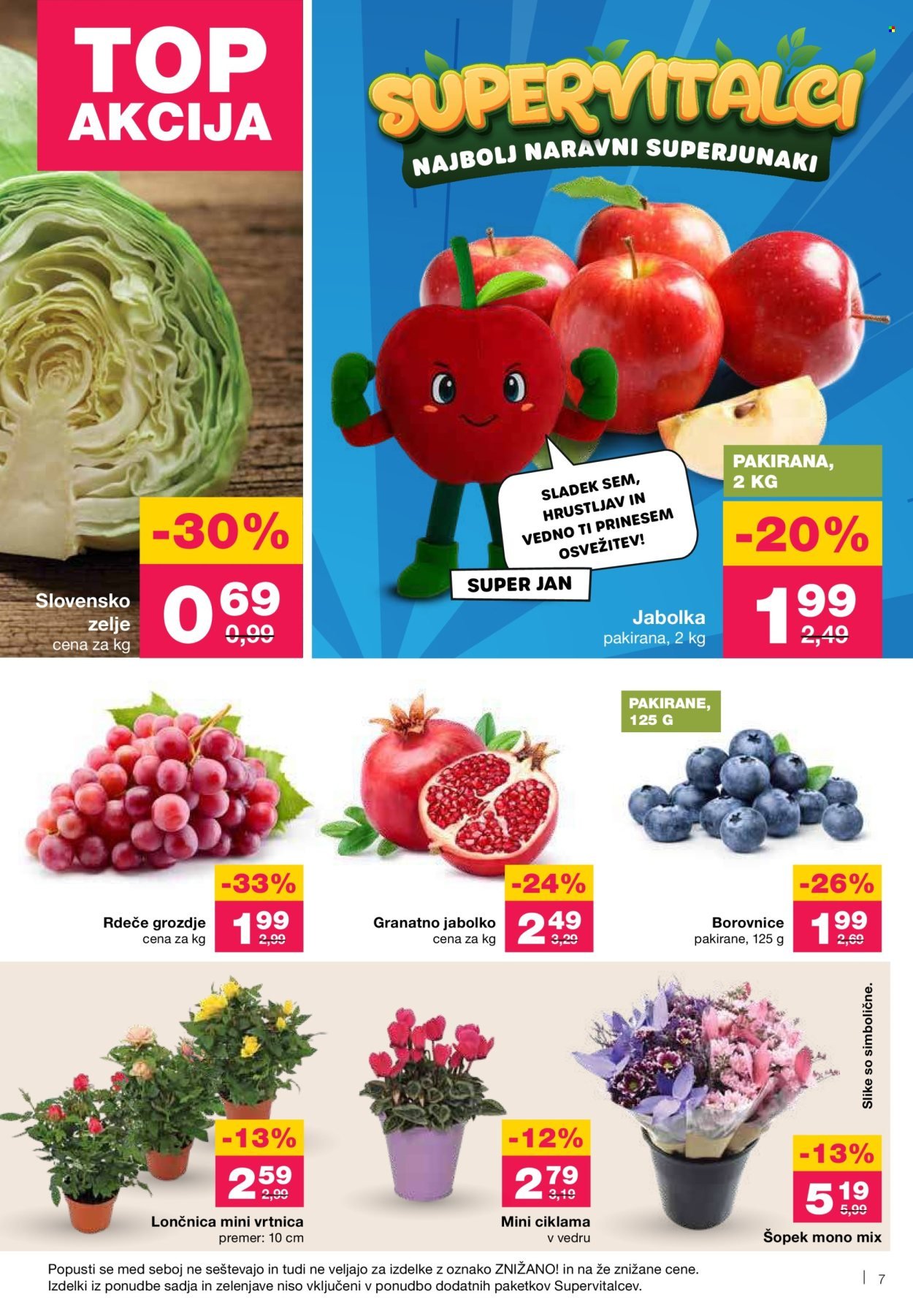 MERCATOR katalog - Redni katalog (2025-10-02 - 2025-10-08)