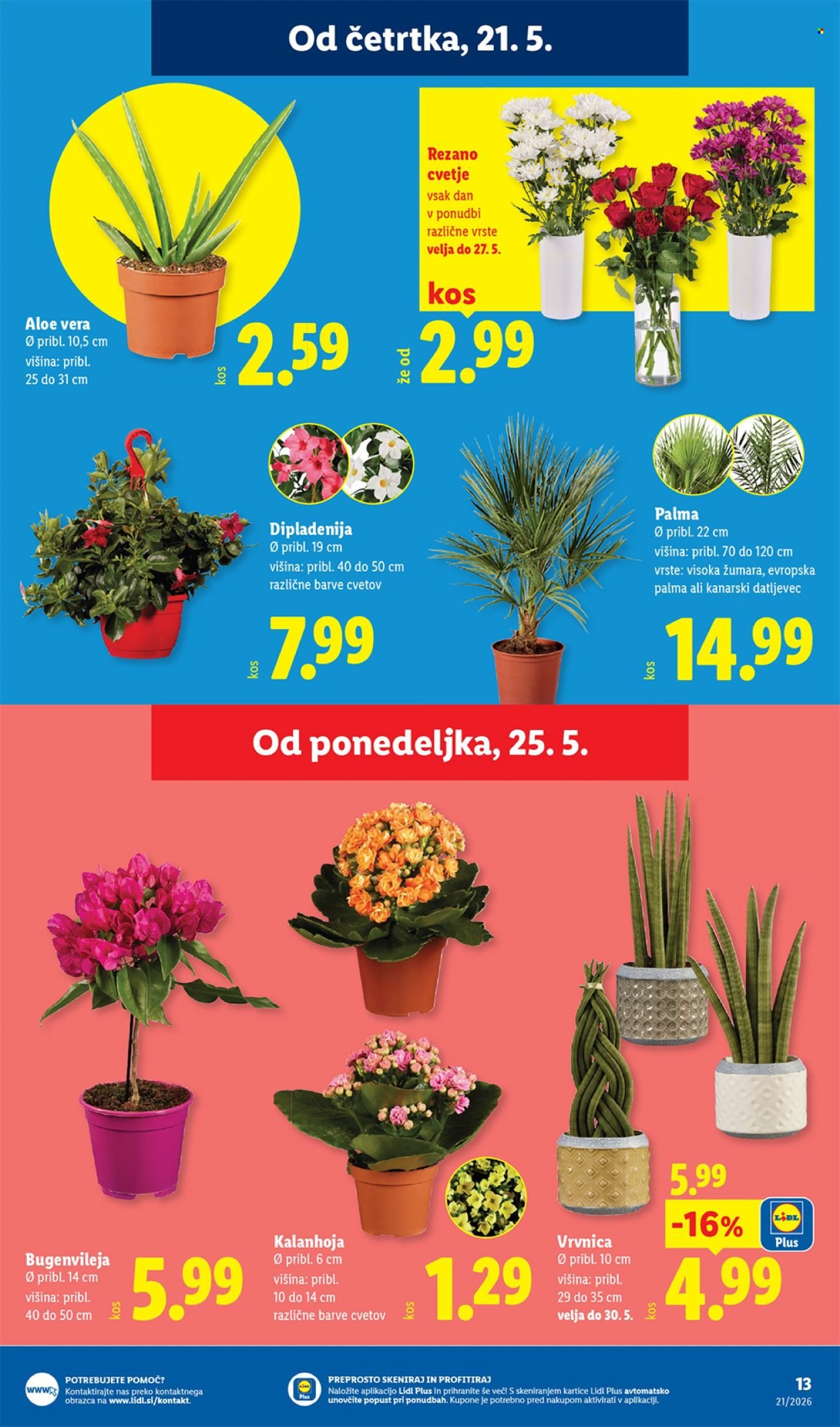 LIDL katalog - Od četrtka, 21. 5. 2026 (2026-05-21 - 2026-05-27)