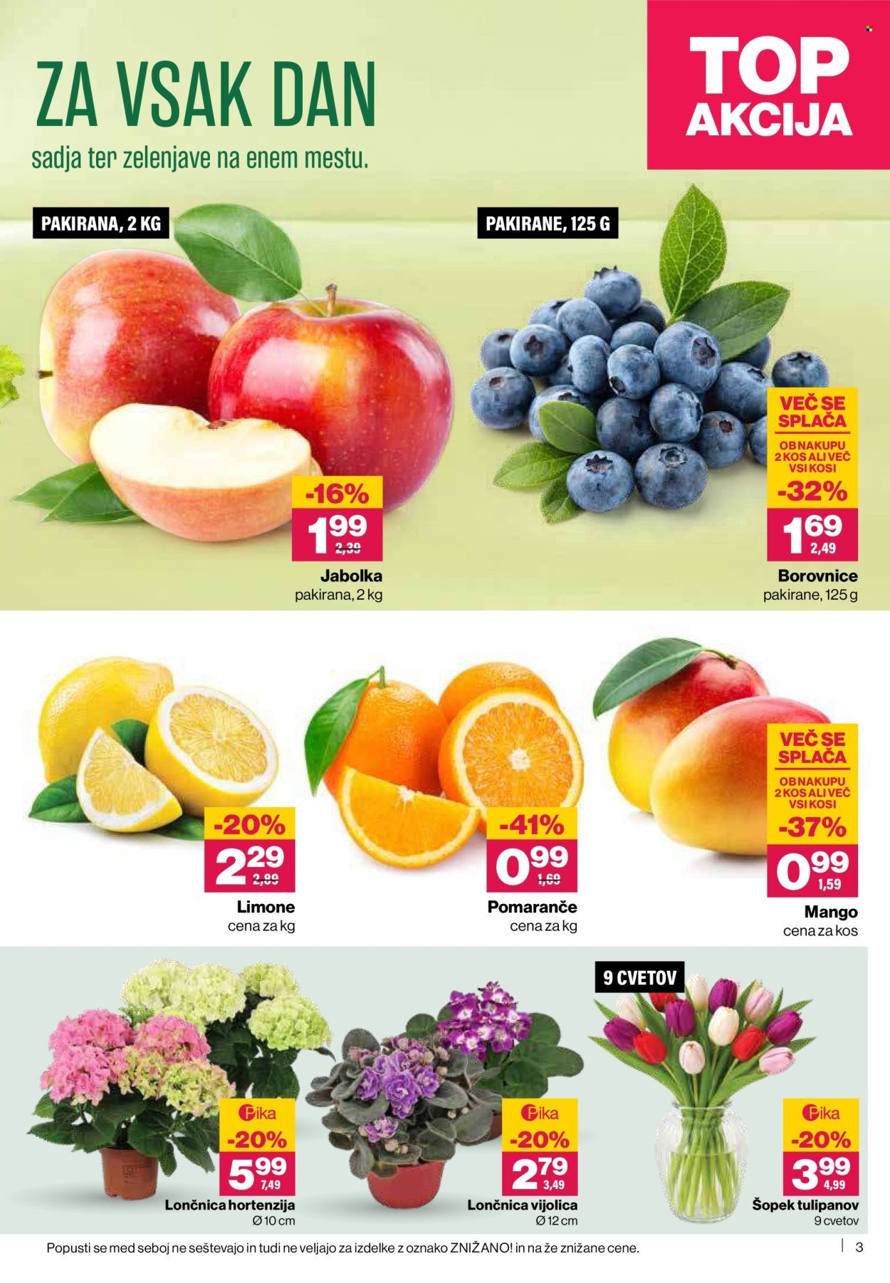 MERCATOR katalog - Redni katalog (2026-04-16 - 2026-04-22)