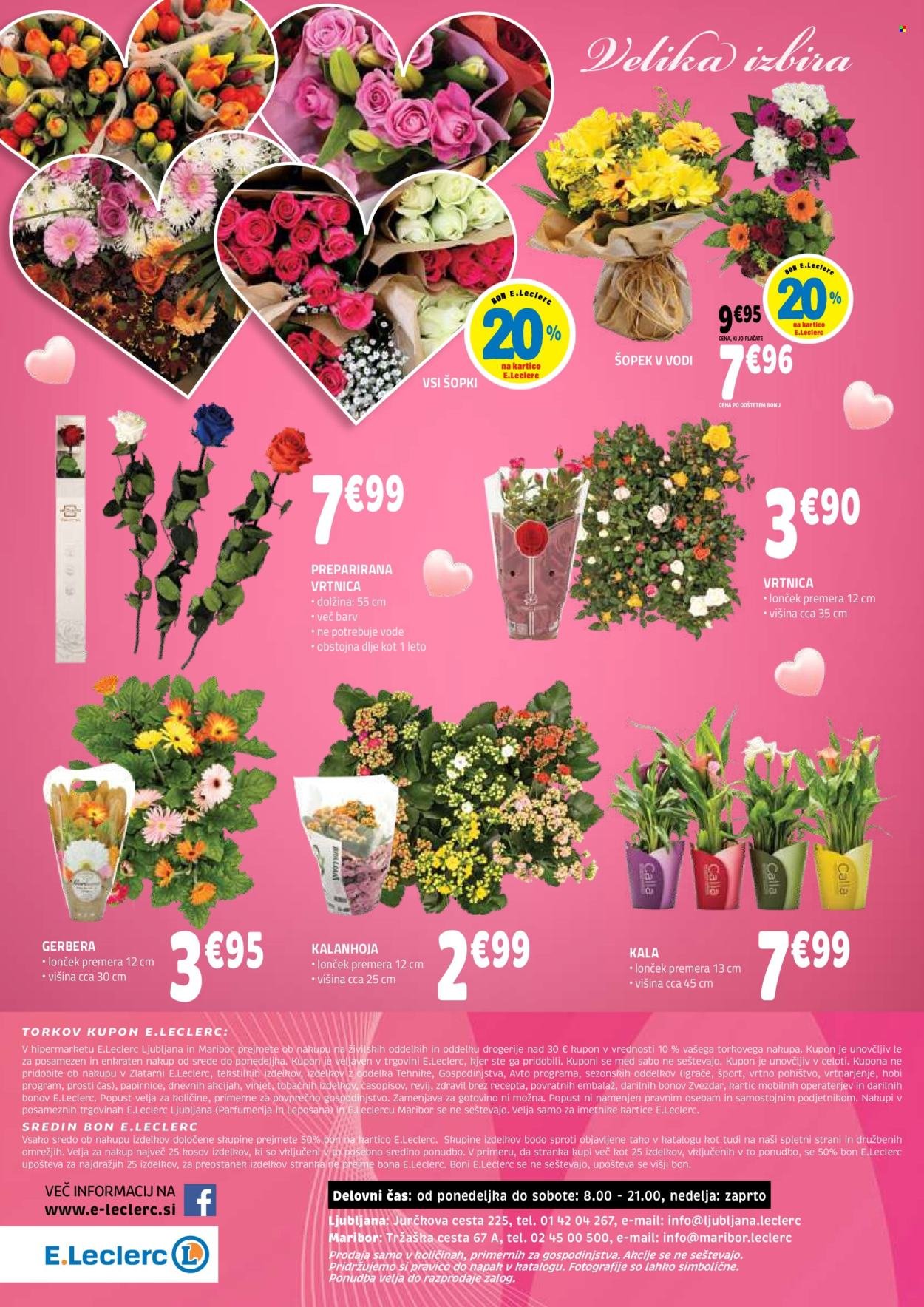 E.LECLERC katalog - Best offer (2026-02-25 - 2026-03-07)