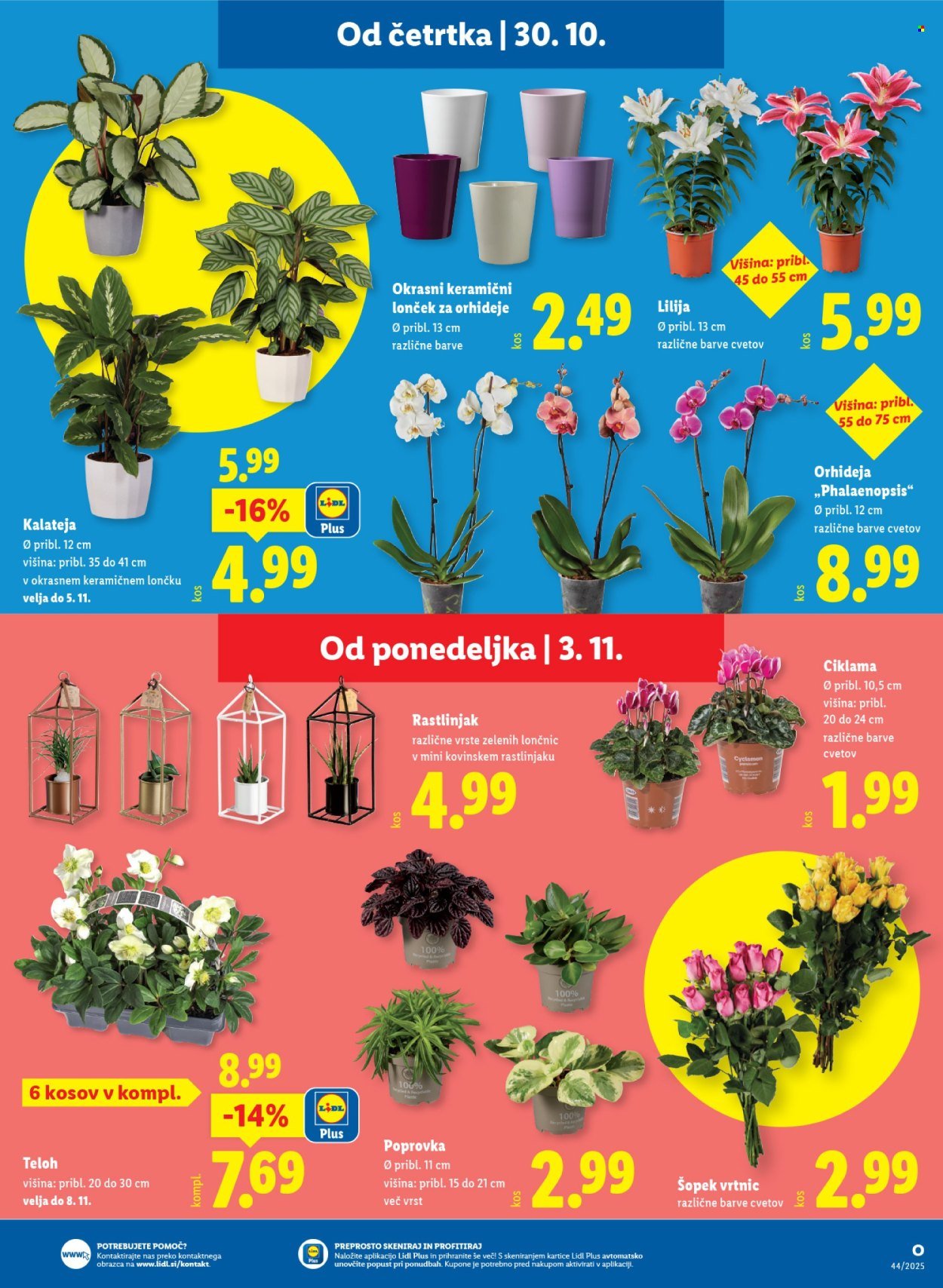 LIDL katalog - Od srede, 29. 10. 2025 (2025-10-29 - 2025-11-05)