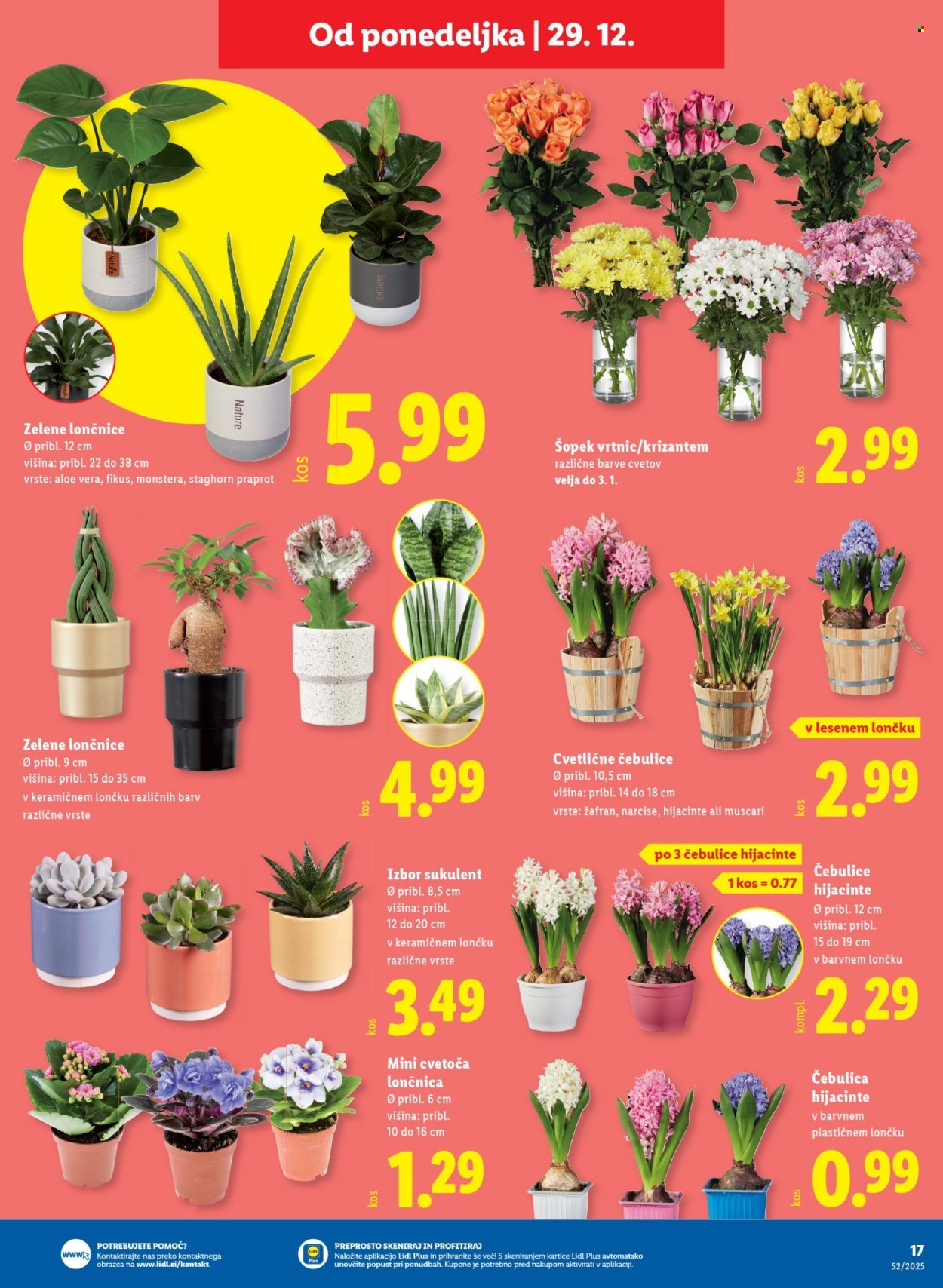 LIDL katalog - Od torka, 23. 12. 2025 (2025-12-23 - 2025-12-31)