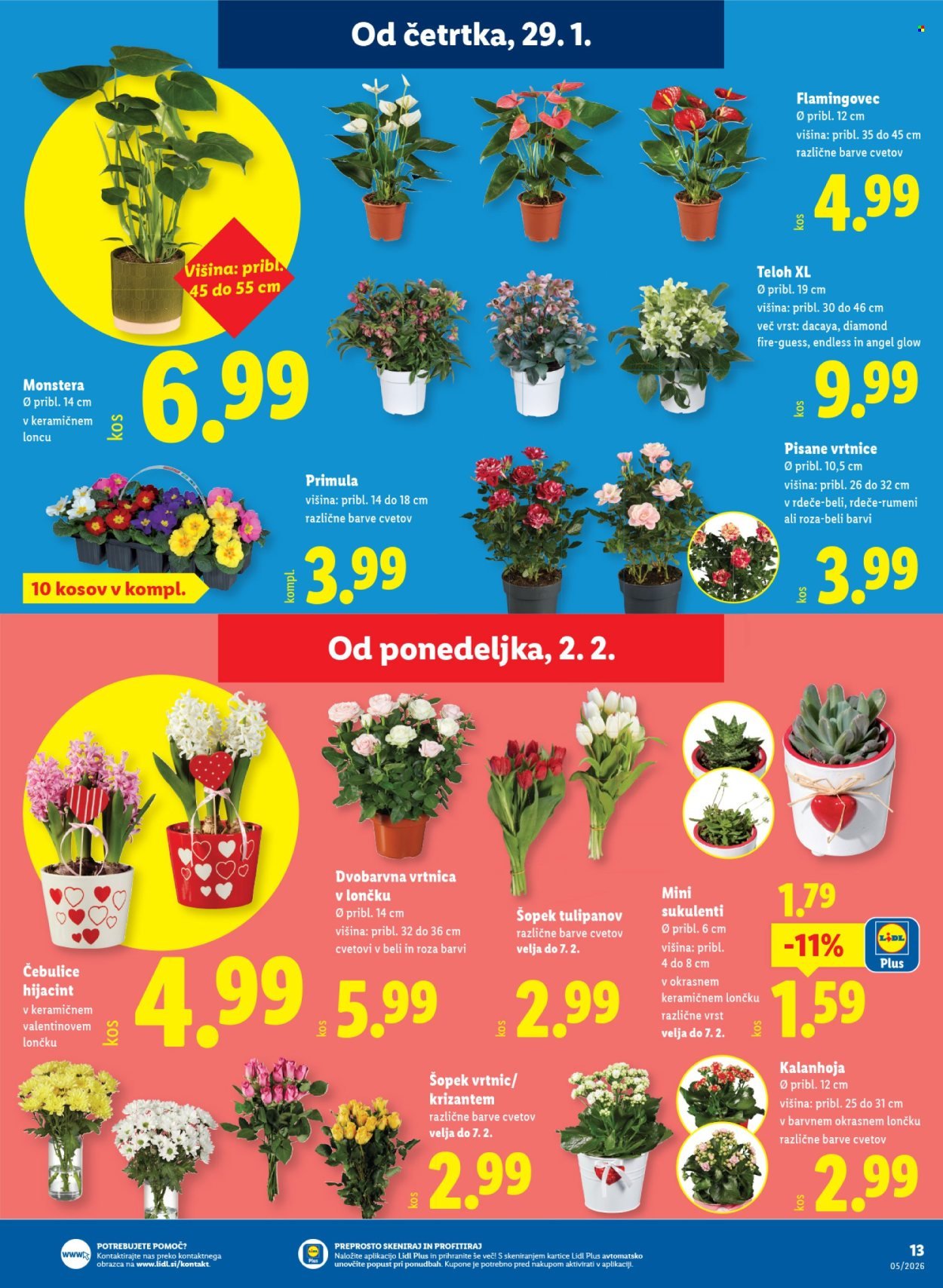 LIDL katalog - Od četrtka, 29. 1. 2026 (2026-01-29 - 2026-02-04)