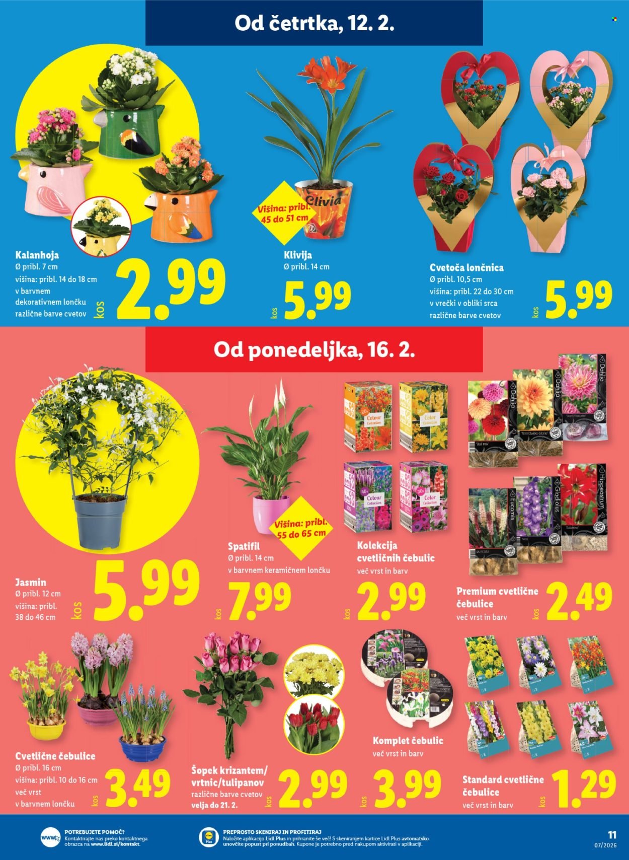 LIDL katalog - Od četrtka, 12. 2. 2026 (2026-02-12 - 2026-02-18)