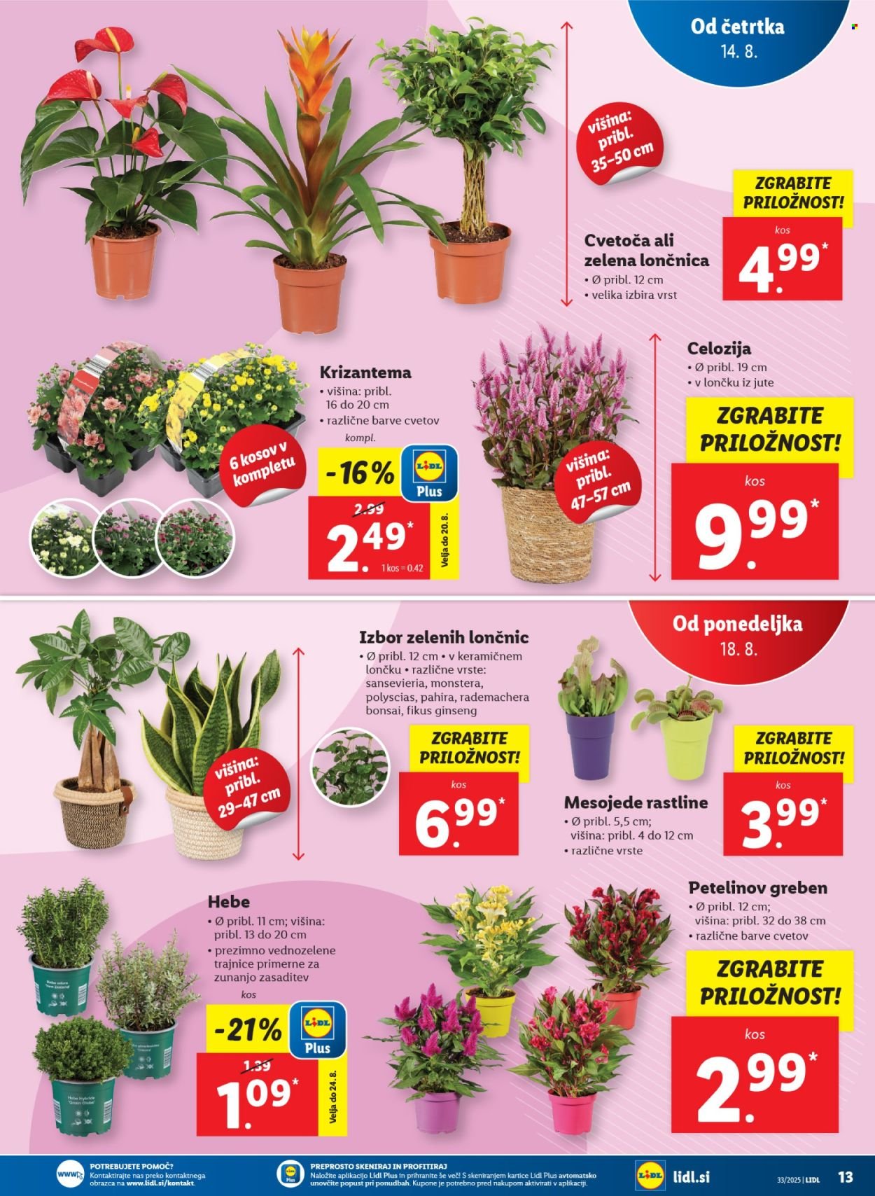 LIDL katalog - Od četrtka, 14. 8. 2025 (2025-08-14 - 2025-08-20)