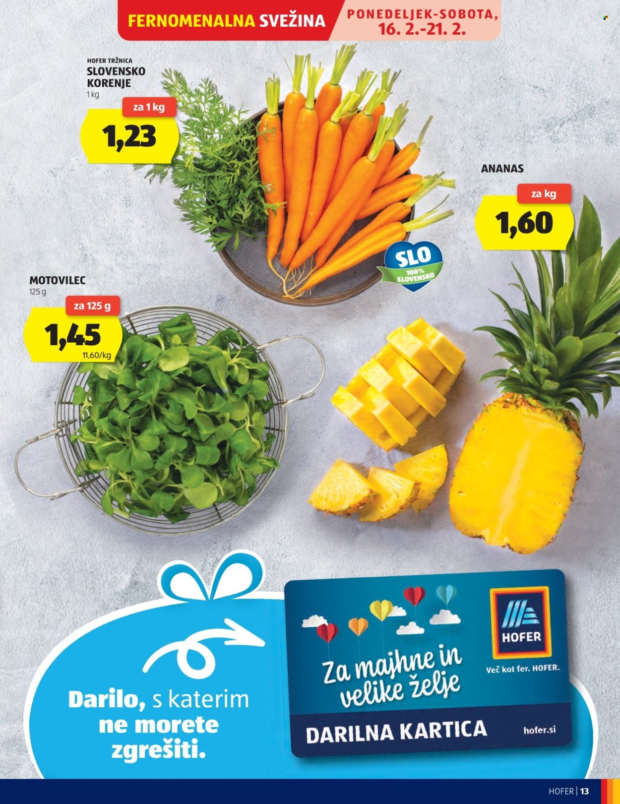 HOFER katalog - Od srede, 11. 2. 2026 (2026-02-11 - 2026-02-19)