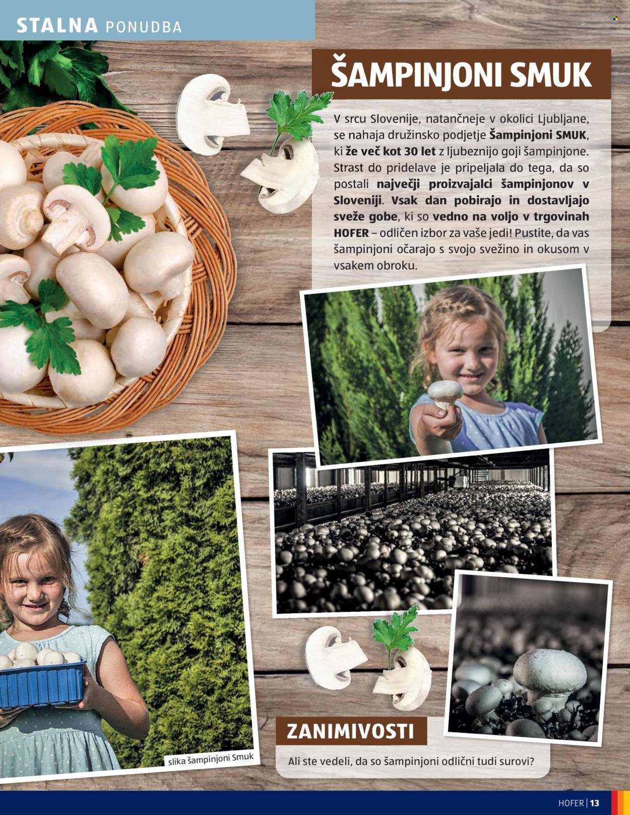 HOFER katalog - Od četrtka, 4. 9. 2025 (2025-09-04 - 2025-09-13)