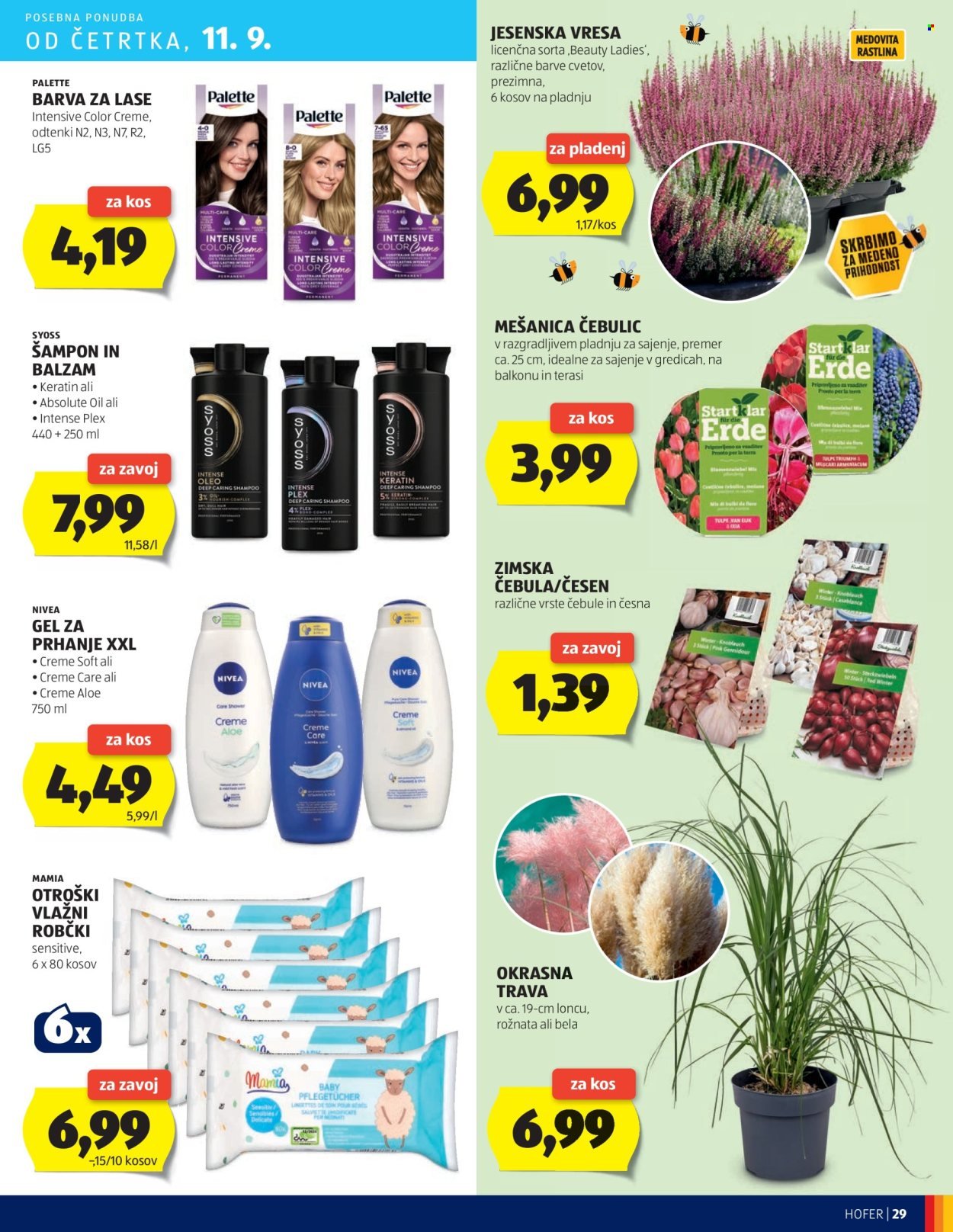 HOFER katalog - Od četrtka, 4. 9. 2025 (2025-09-04 - 2025-09-13)