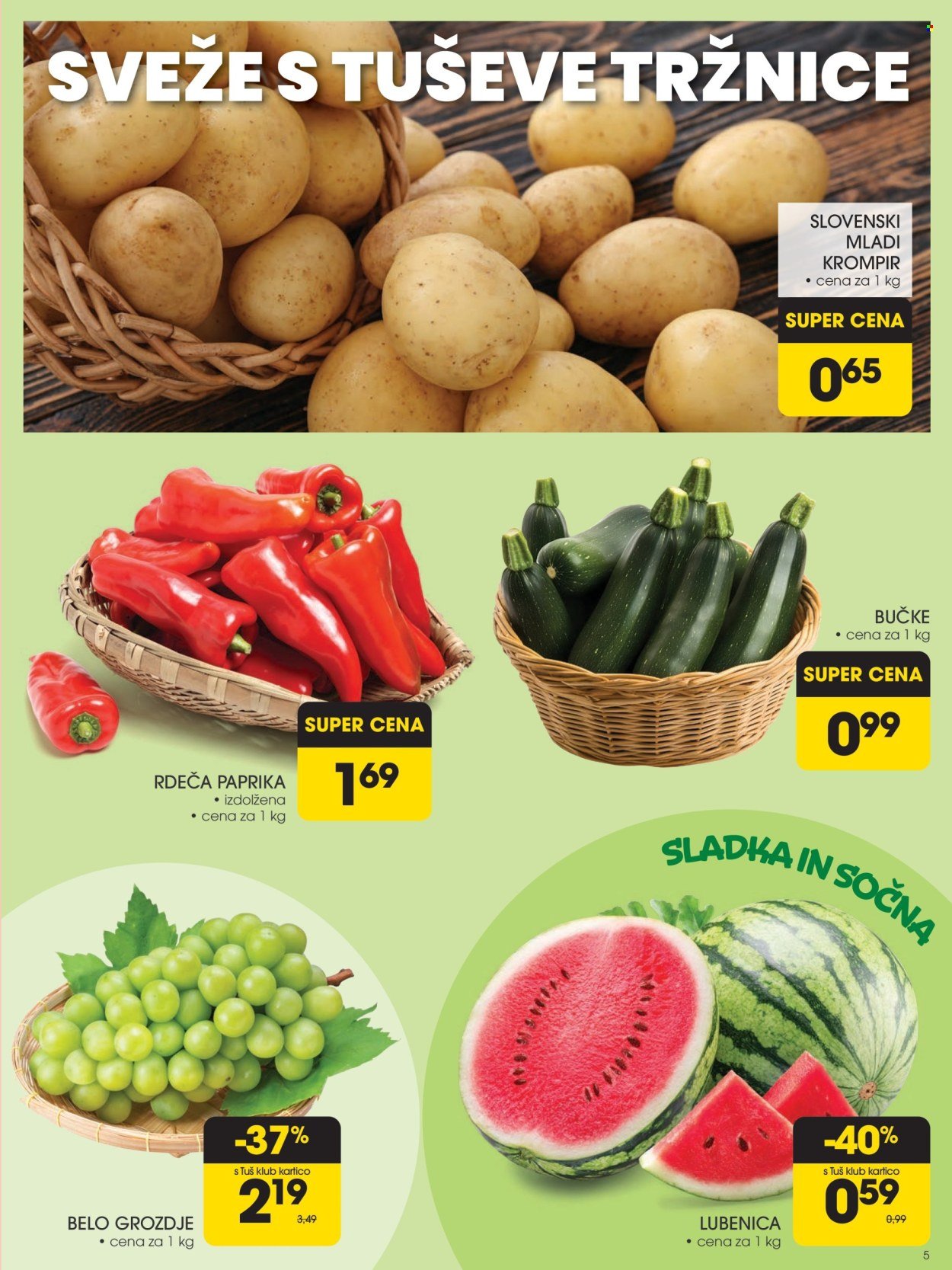 TUŠ katalog - AKCIJSKI KATALOG (2025-08-13 - 2025-08-19)