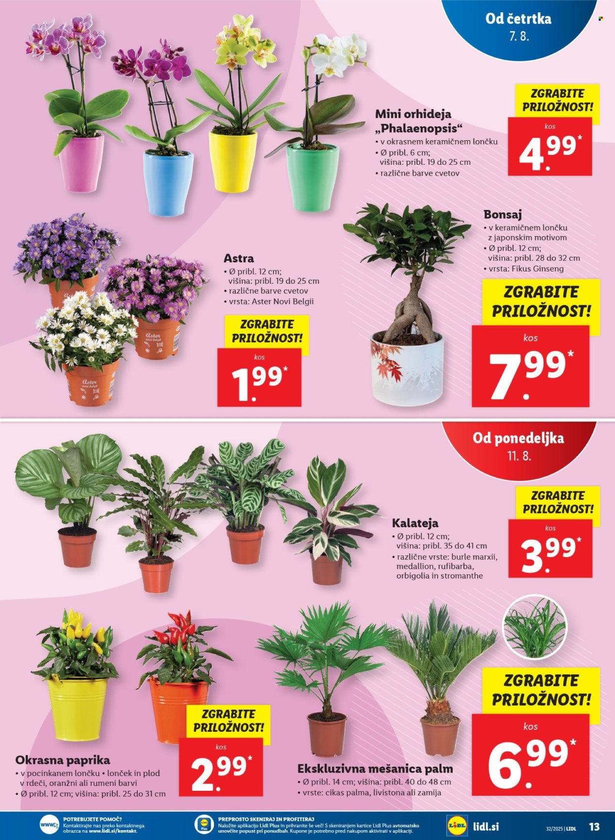 LIDL katalog - Od četrtka, 7. 8. 2025 (2025-08-07 - 2025-08-14)