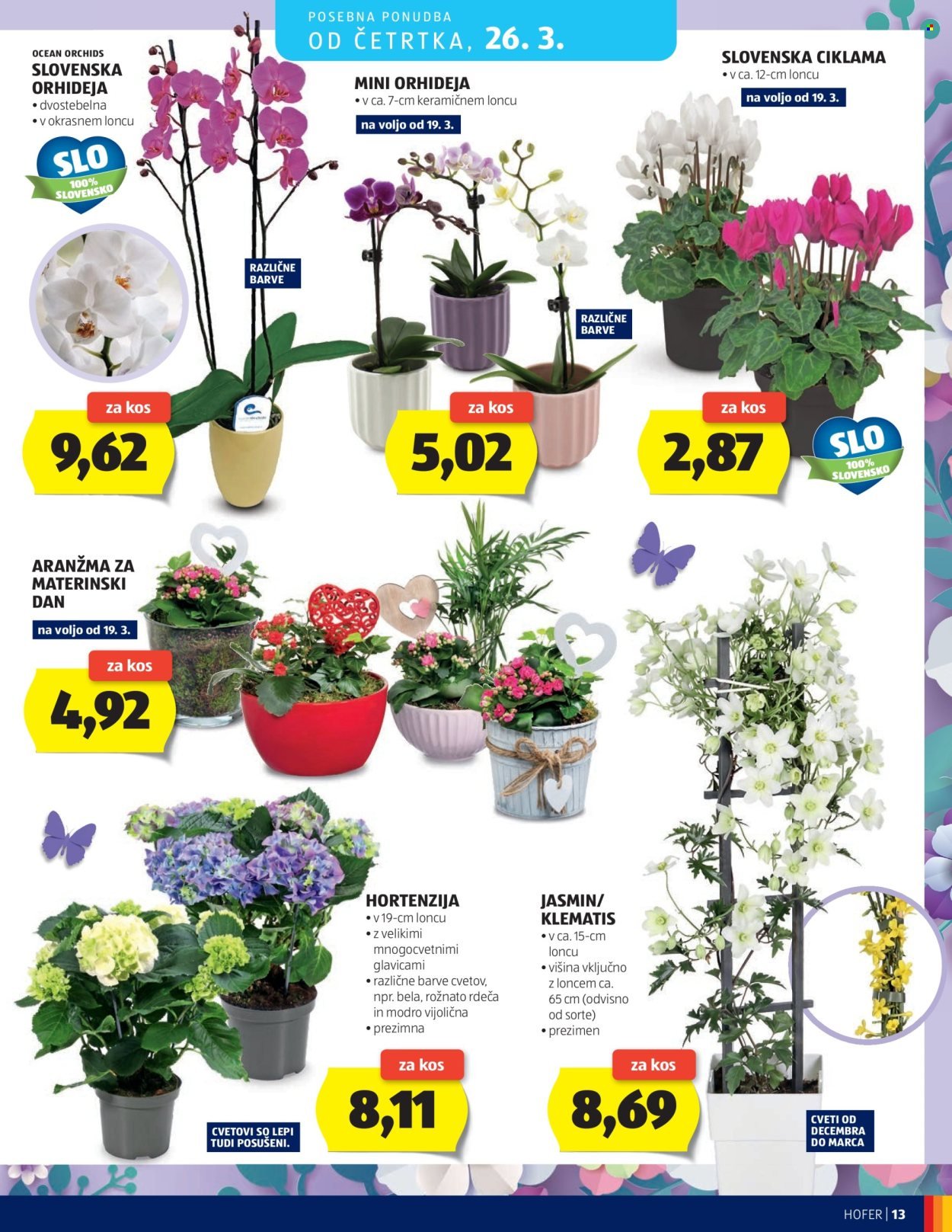 HOFER katalog - Od srede, 18. 3. 2026 (2026-03-18 - 2026-03-26)
