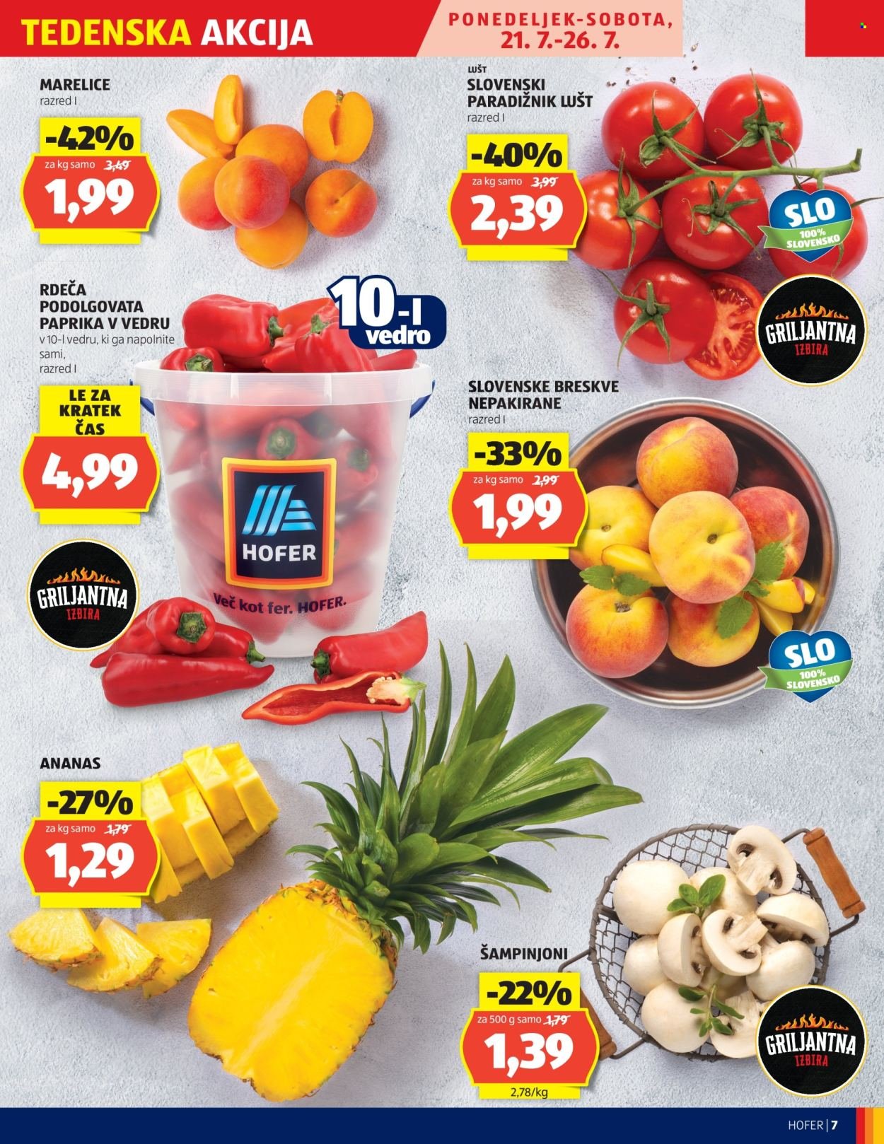 HOFER katalog - Od četrtka, 17. 7. 2025 (2025-07-17 - 2025-07-26)
