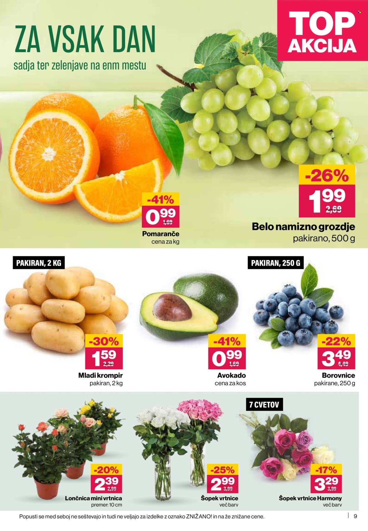 MERCATOR katalog - Redni katalog (2026-04-09 - 2026-04-15)