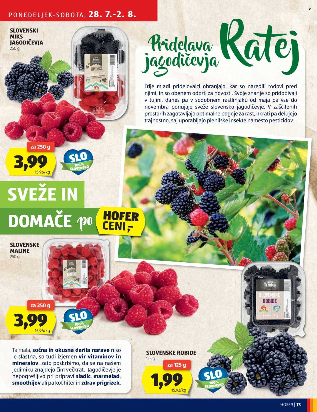 HOFER katalog - Od ponedeljek, 28. 7. 2025 (2025-07-28 - 2025-08-02)