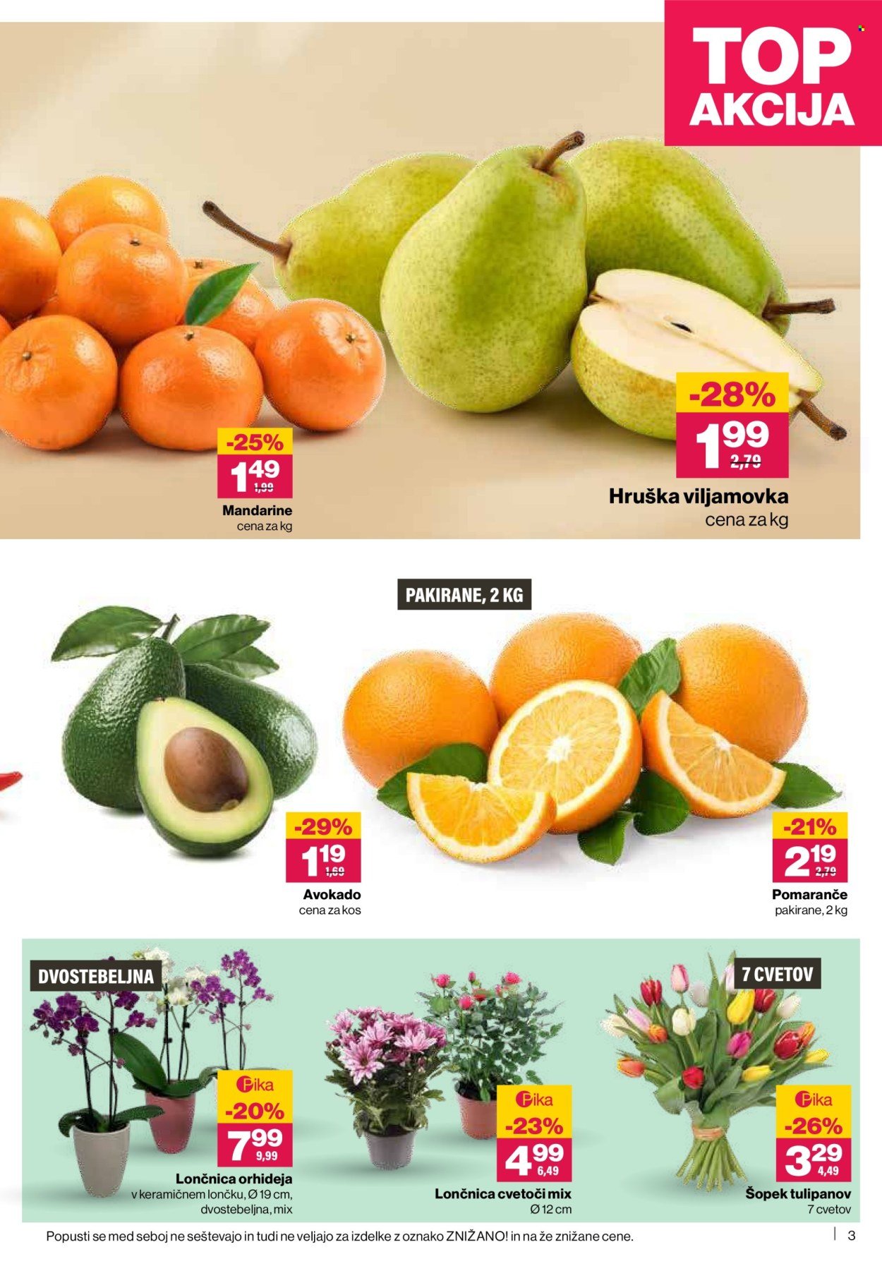 MERCATOR katalog - Redni katalog (2026-02-19 - 2026-02-25)