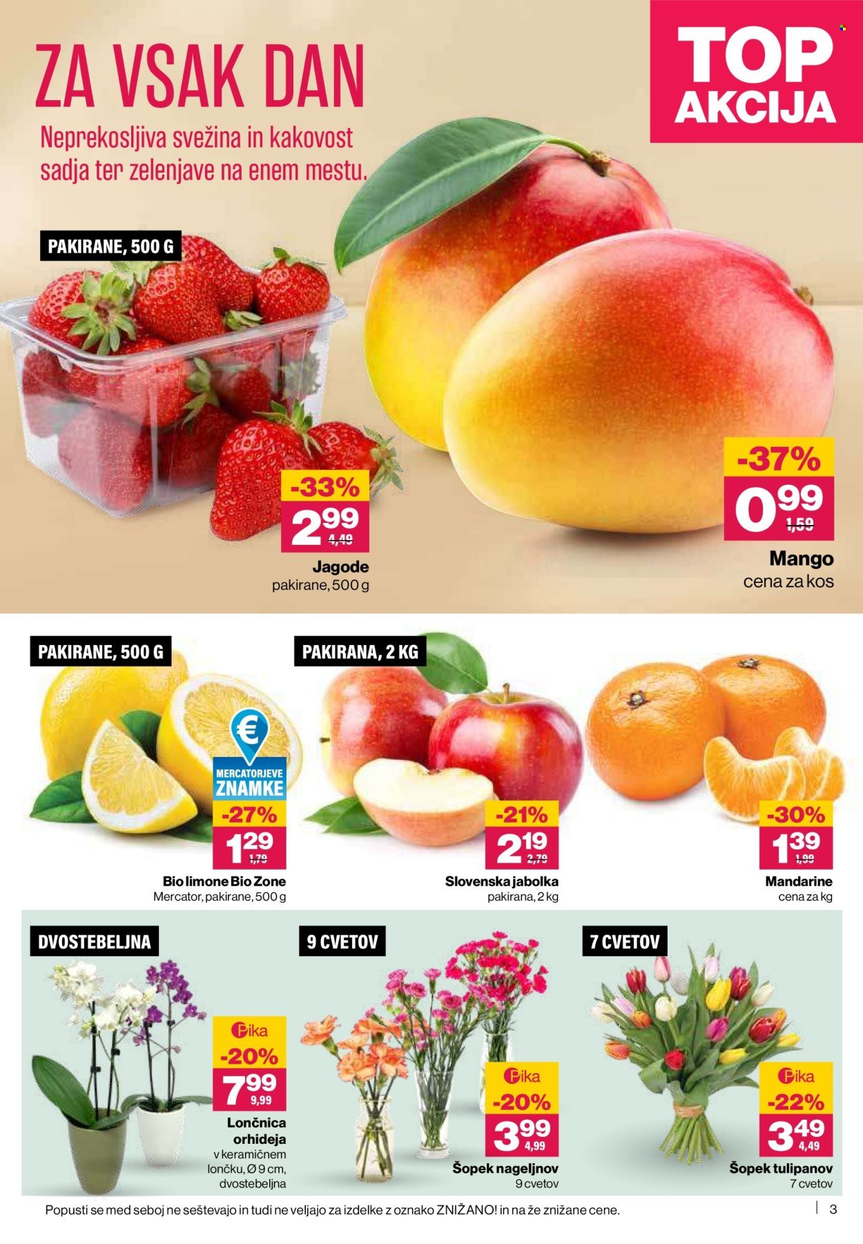 MERCATOR katalog - Redni katalog (2026-03-19 - 2026-03-25)