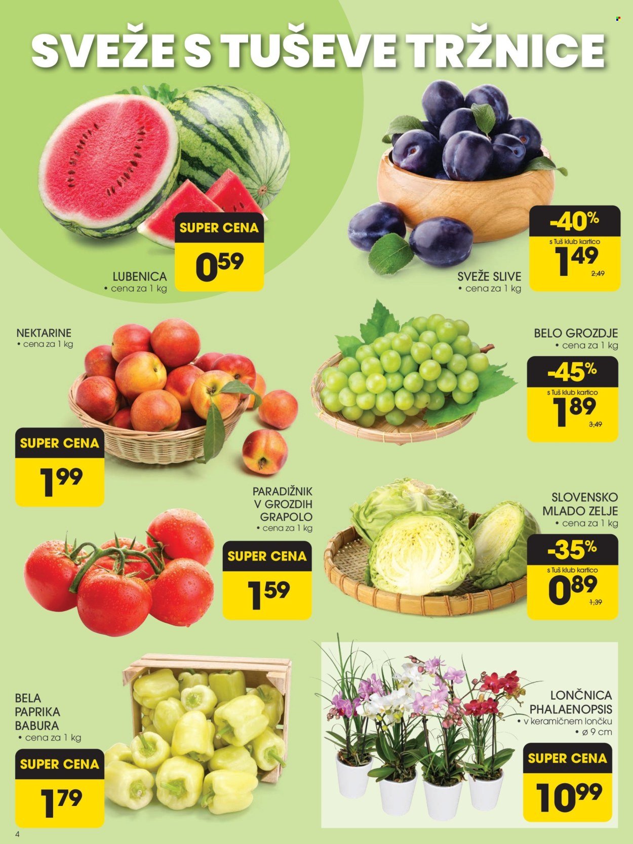 TUŠ katalog - AKCIJSKI KATALOG (2025-08-20 - 2025-08-26)