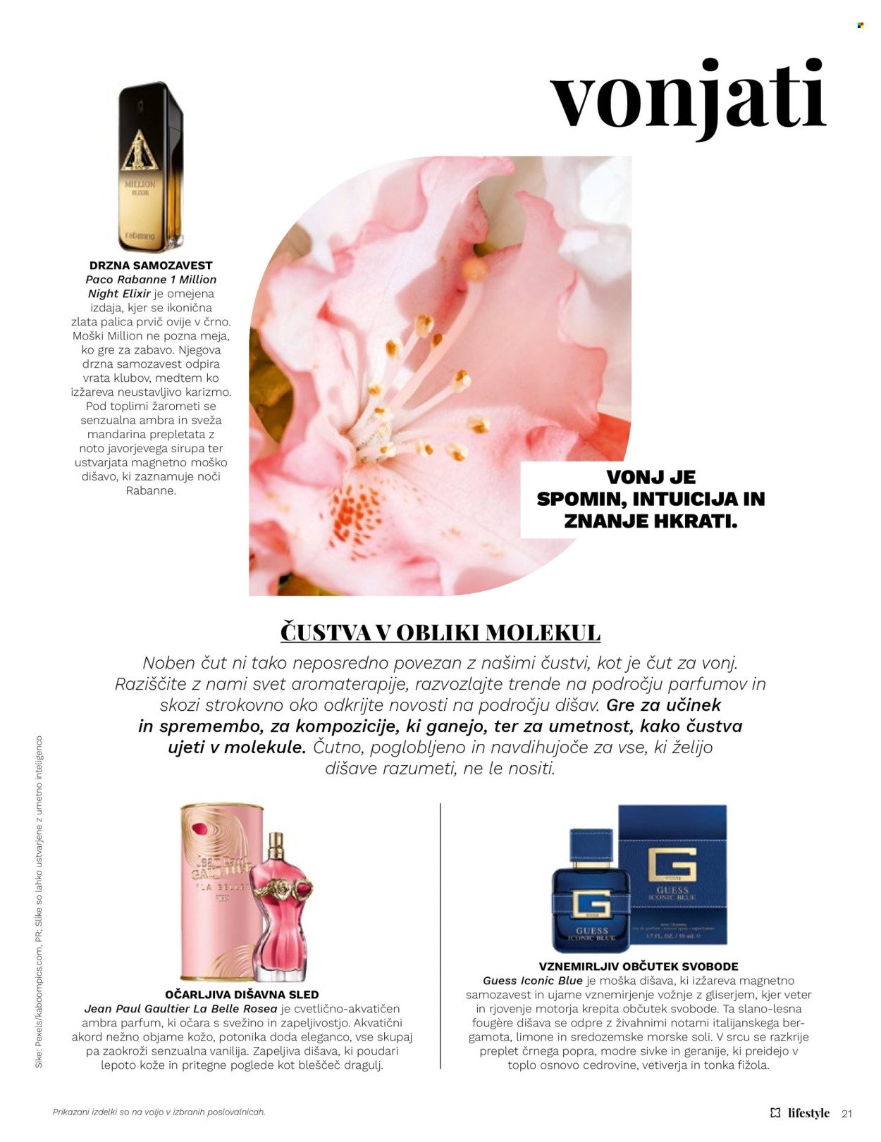 MÜLLER katalog - Lifestyle