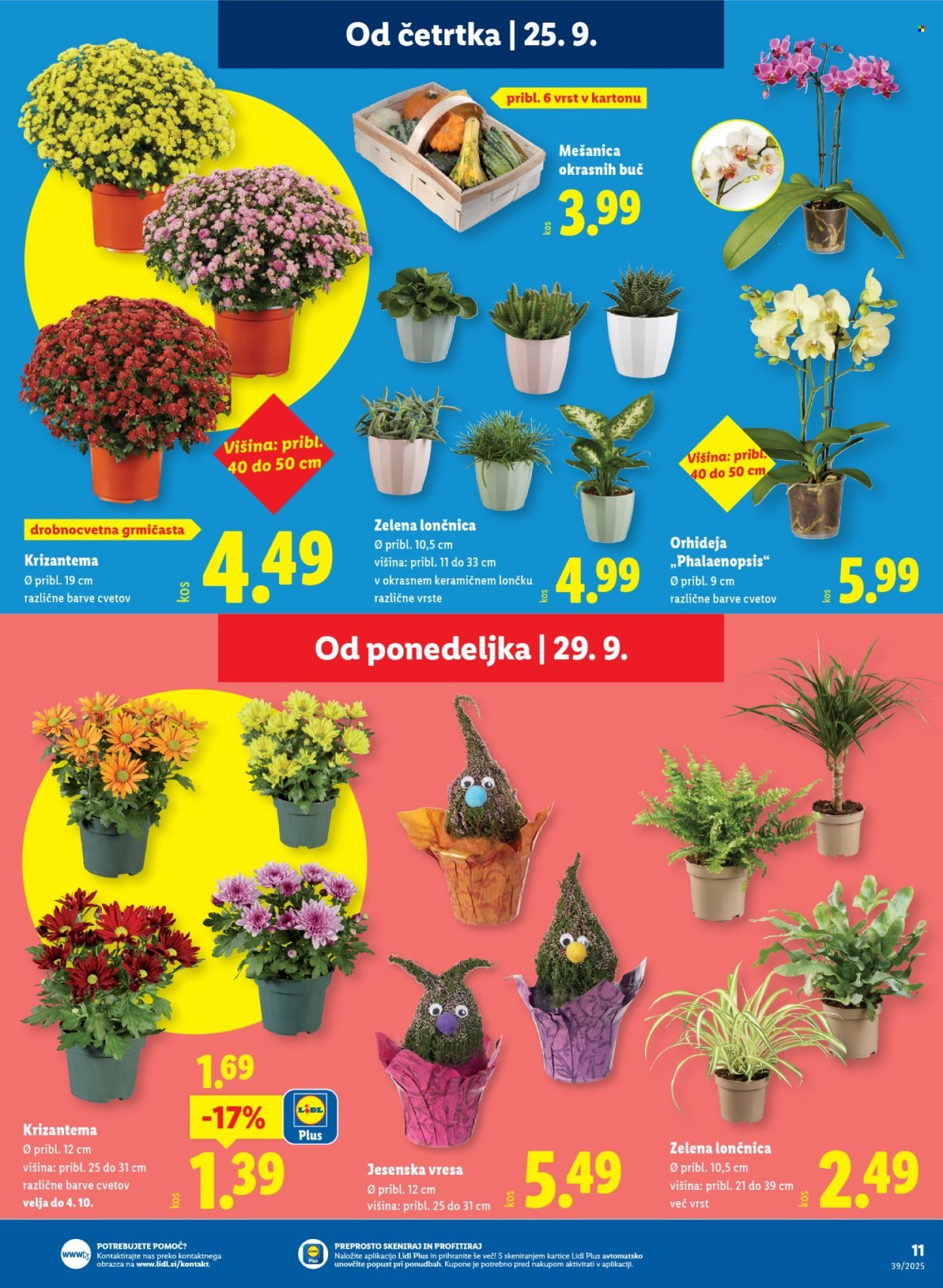 LIDL katalog - Od četrtka, 25. 9. 2025 (2025-09-25 - 2025-10-01)