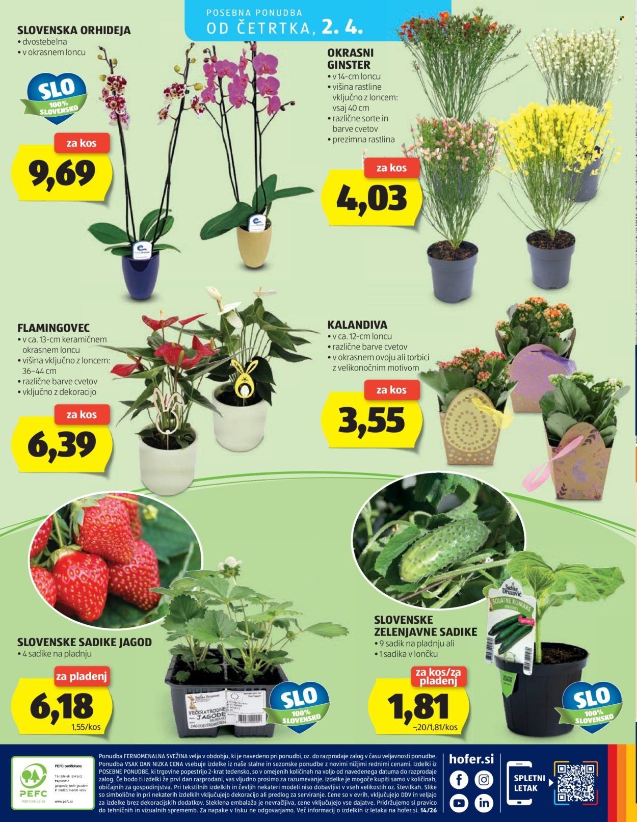 HOFER katalog - Od srede, 25. 3. 2026 (2026-03-25 - 2026-04-02)