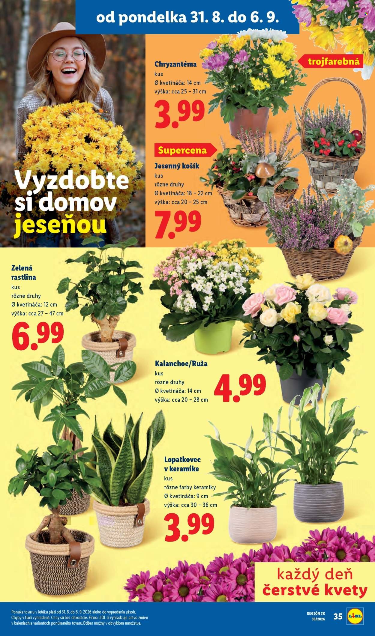 LIDL leták - Od pondelka 31.8.2026