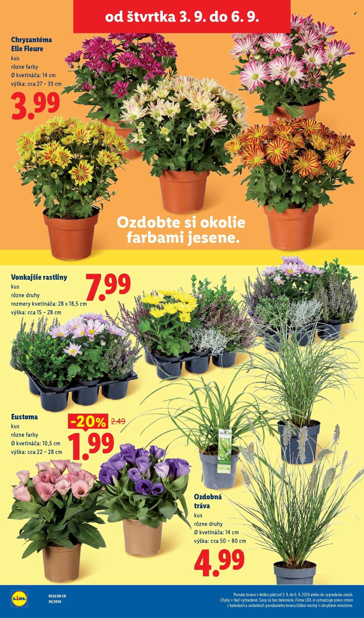 LIDL leták - Od pondelka 31.8.2026