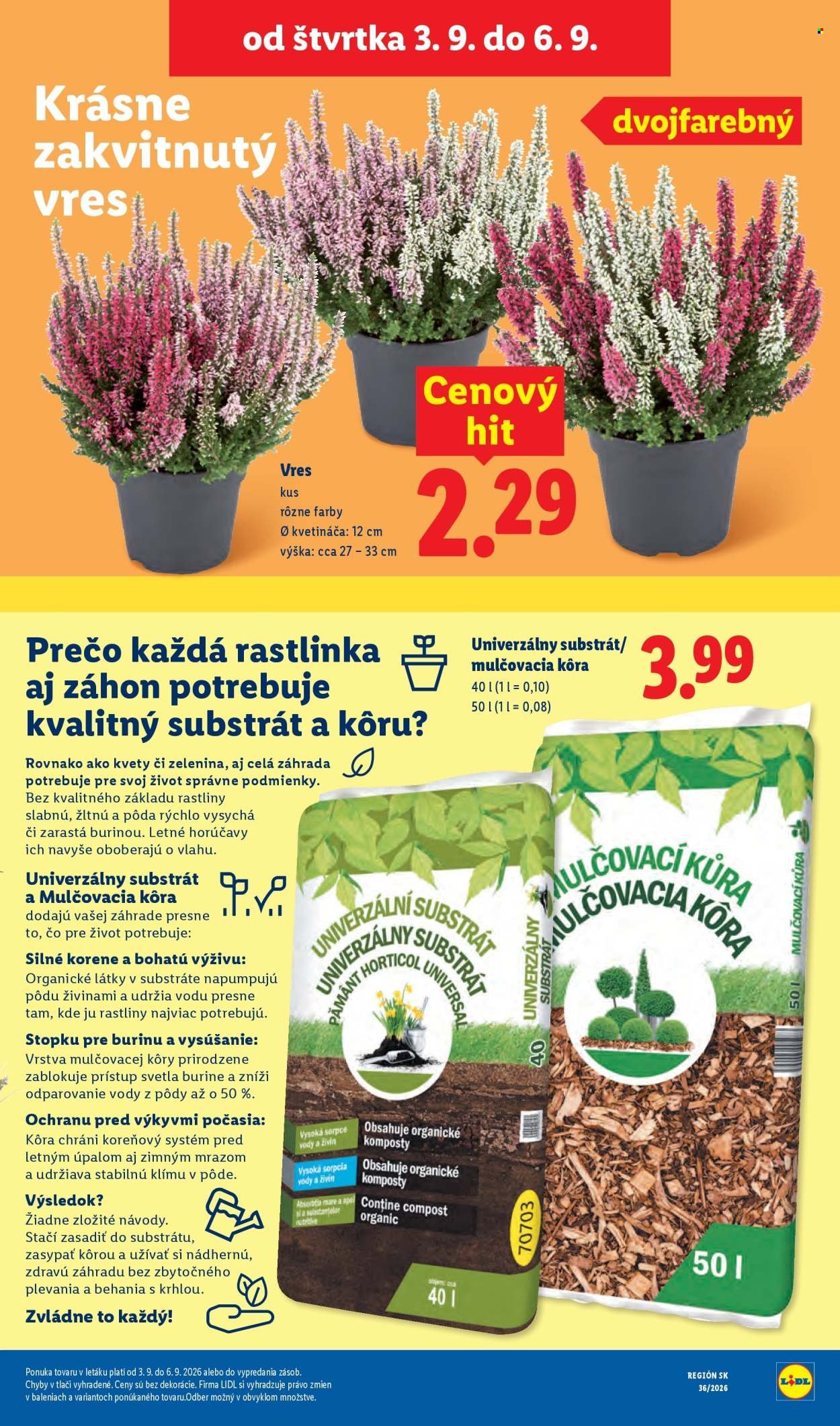 LIDL leták - Od pondelka 31.8.2026