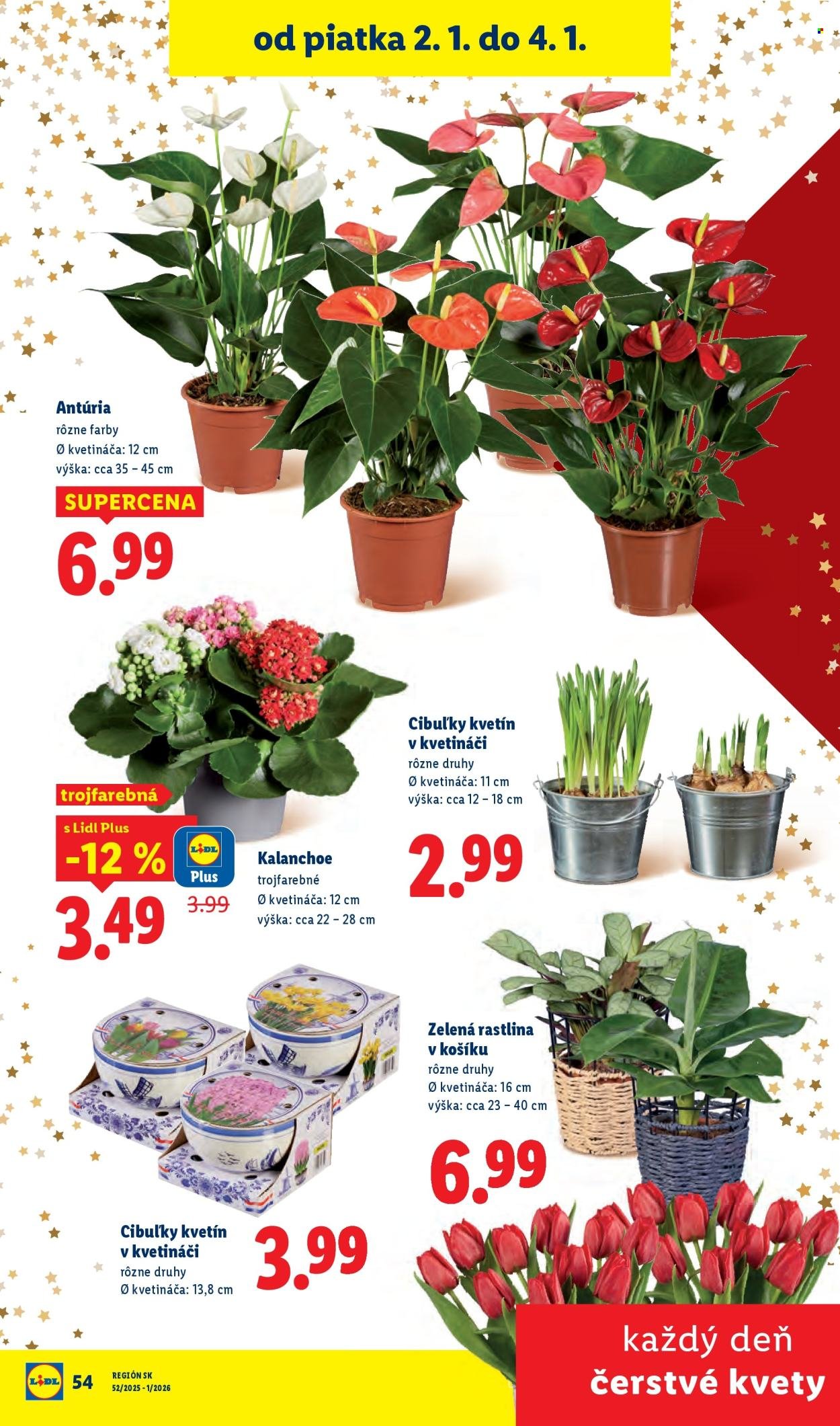 LIDL leták - Od piatka 2.1.2026 (2026-01-02 - 2026-01-04) | 20