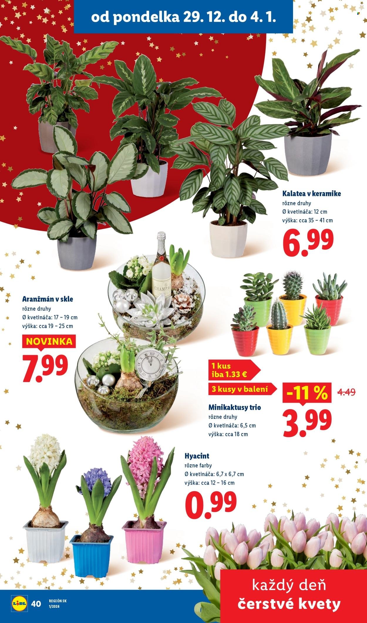 LIDL leták - Od piatka 2.1.2026 (2026-01-02 - 2026-01-04) | 41