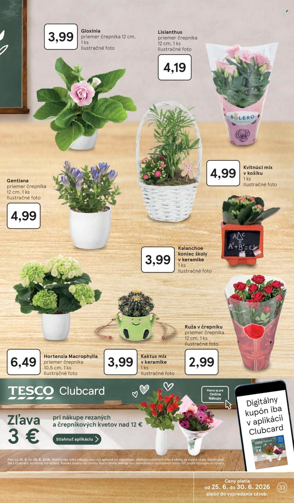 TESCO leták - Od stredy 24.6.2026