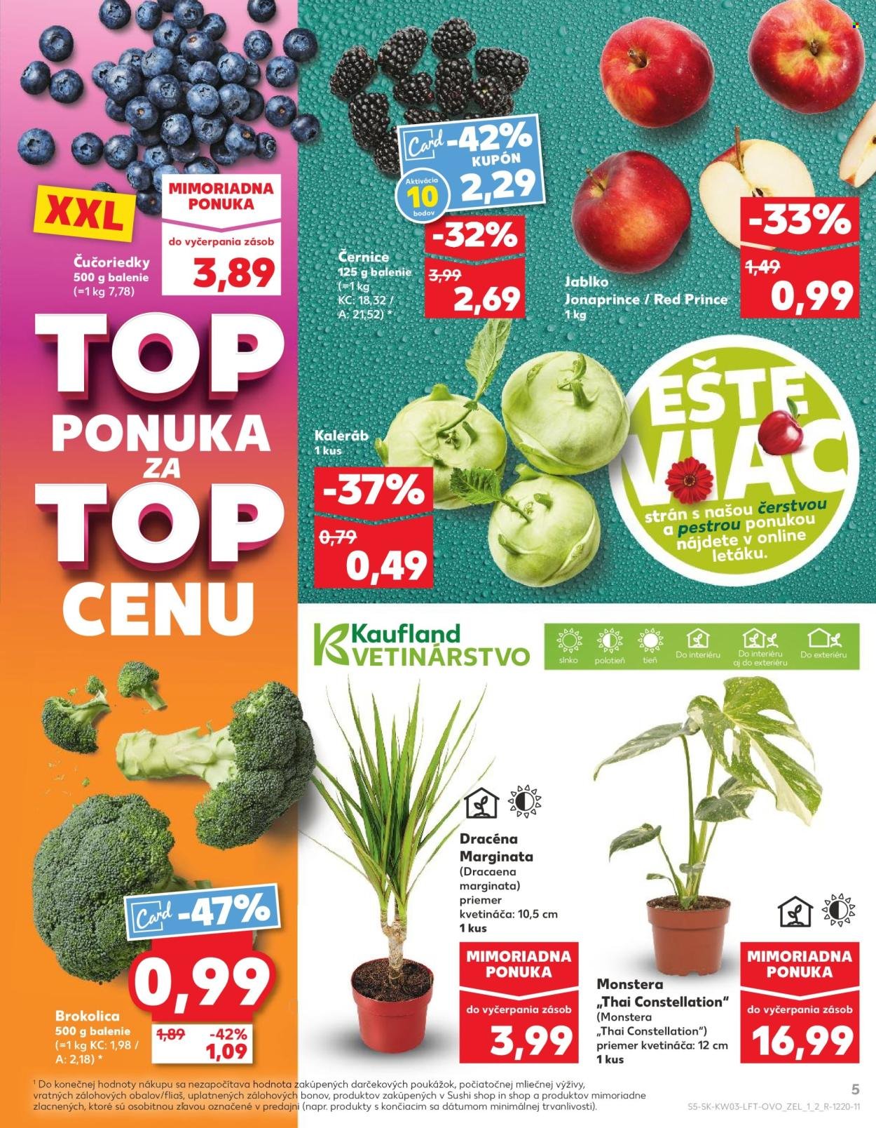 KAUFLAND leták - Od štvrtka 15.1.2026 (2026-01-15 - 2026-01-21) | 5