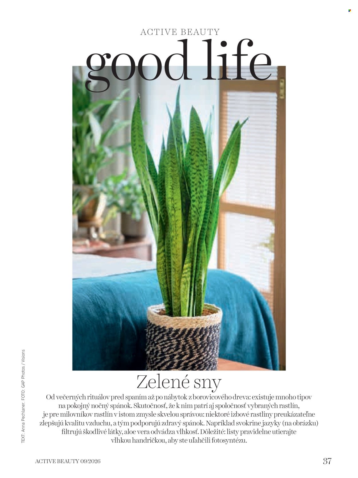 DM DROGERIE leták - ACTIVE BEAUTY