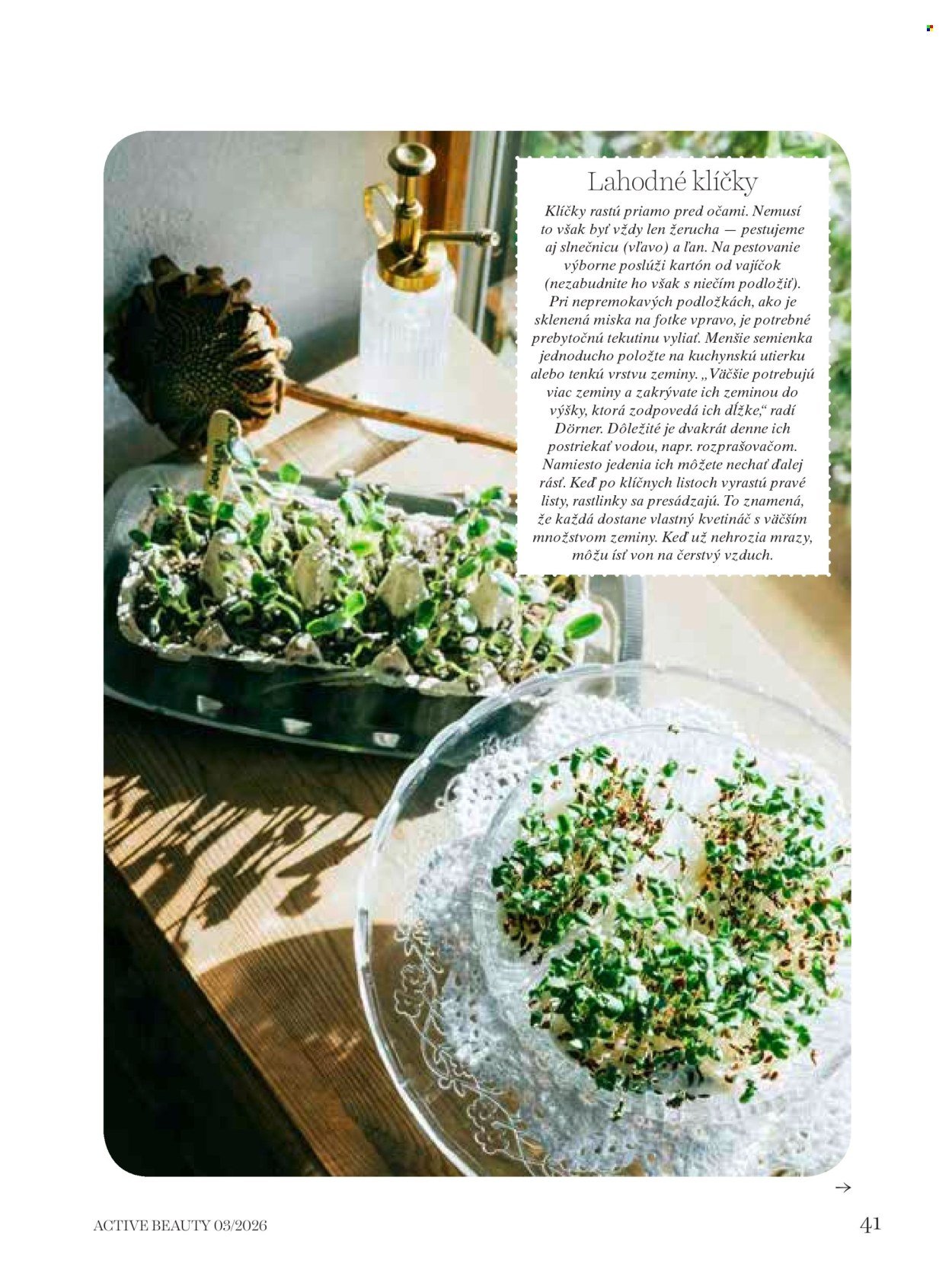 DM DROGERIE leták - ACTIVE BEAUTY (2026-03-19) | 41