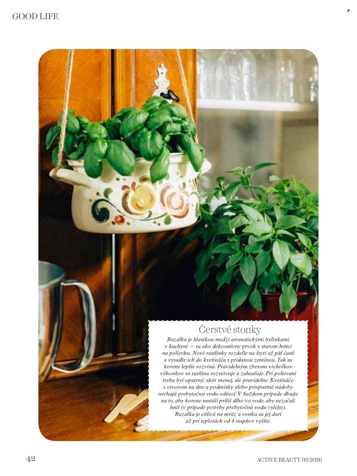 DM DROGERIE leták - ACTIVE BEAUTY (2026-03-19) | 42