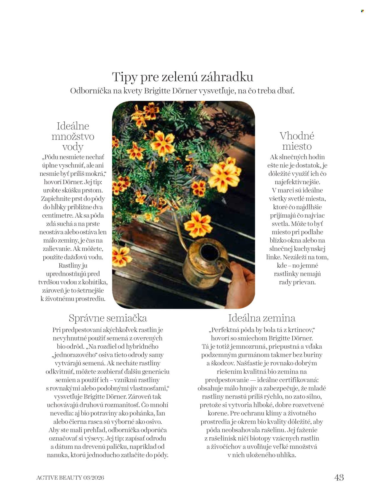 DM DROGERIE leták - ACTIVE BEAUTY (2026-03-19) | 43