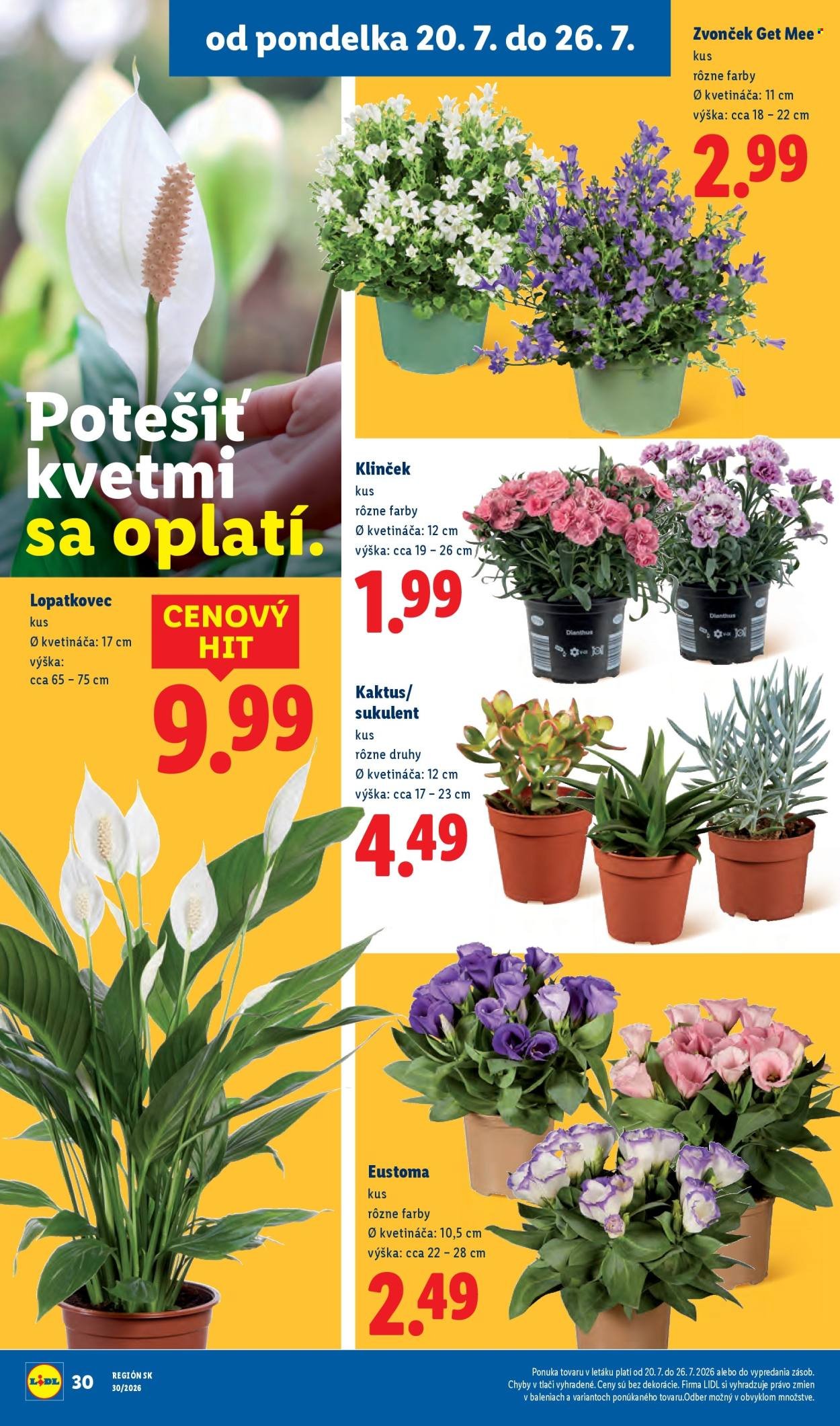 LIDL leták - Od pondelka 20.7.2026