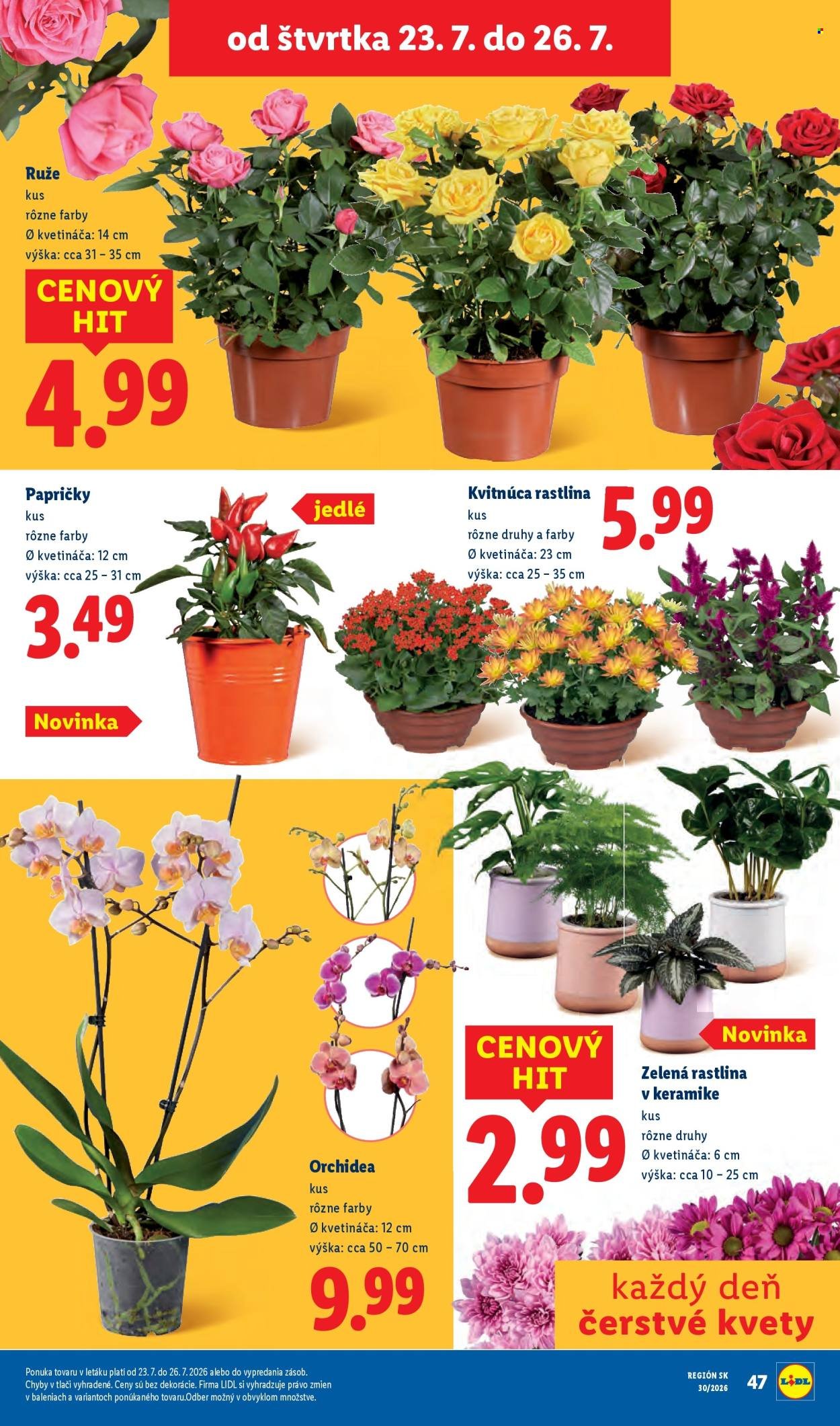 LIDL leták - Od pondelka 20.7.2026