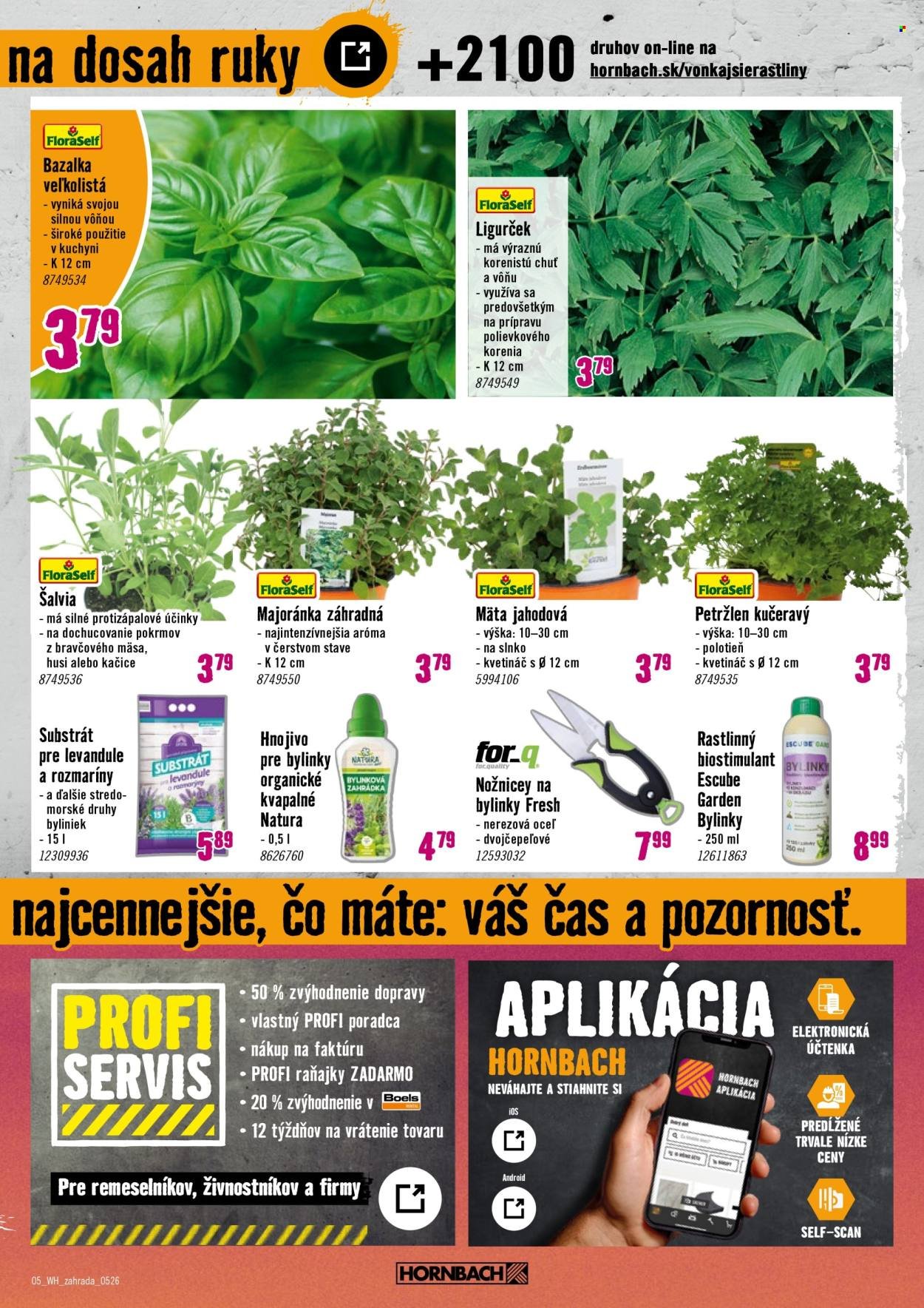 HORNBACH leták - Váš ďalší projekt - Trvalky (2026-05-06 - 2026-05-20) | 5