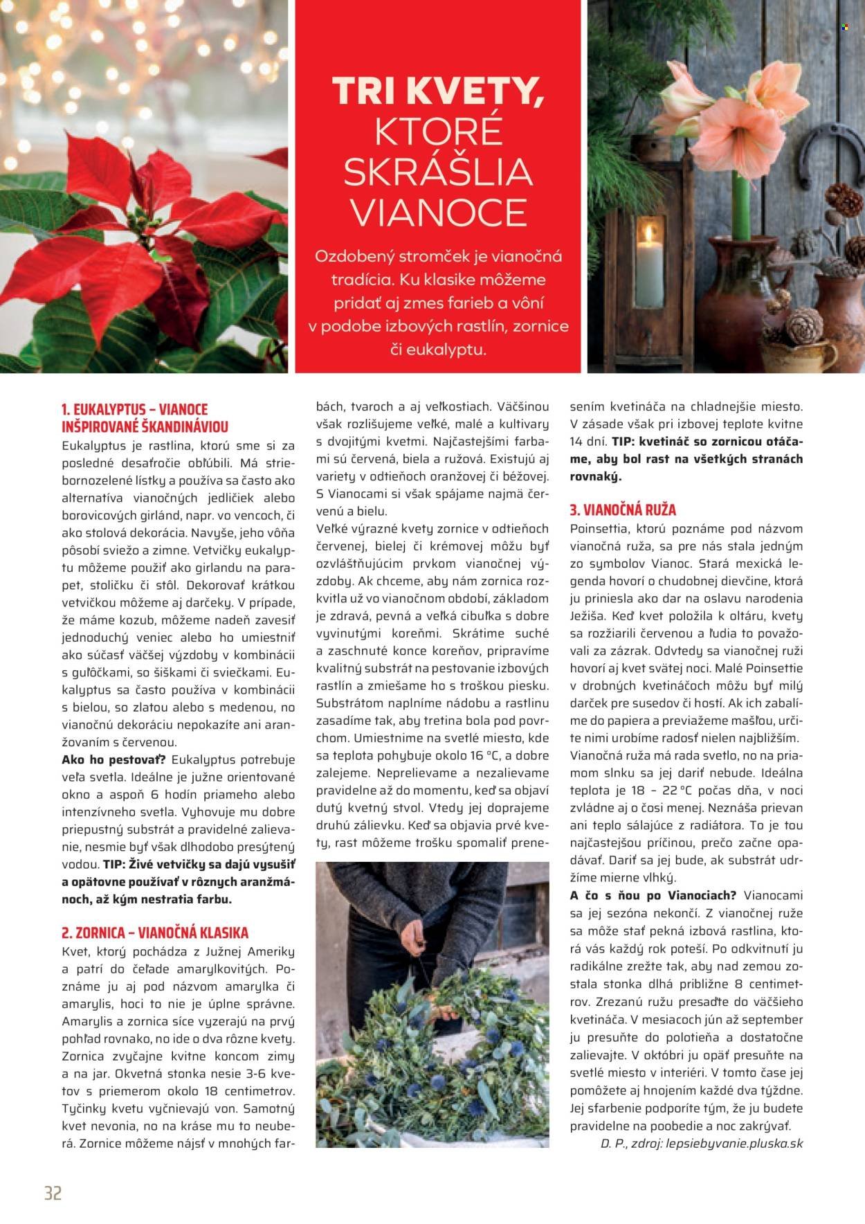 COOP JEDNOTA leták - Od pondelka 1.12.2025 (2025-12-01 - 2025-12-31) | 32