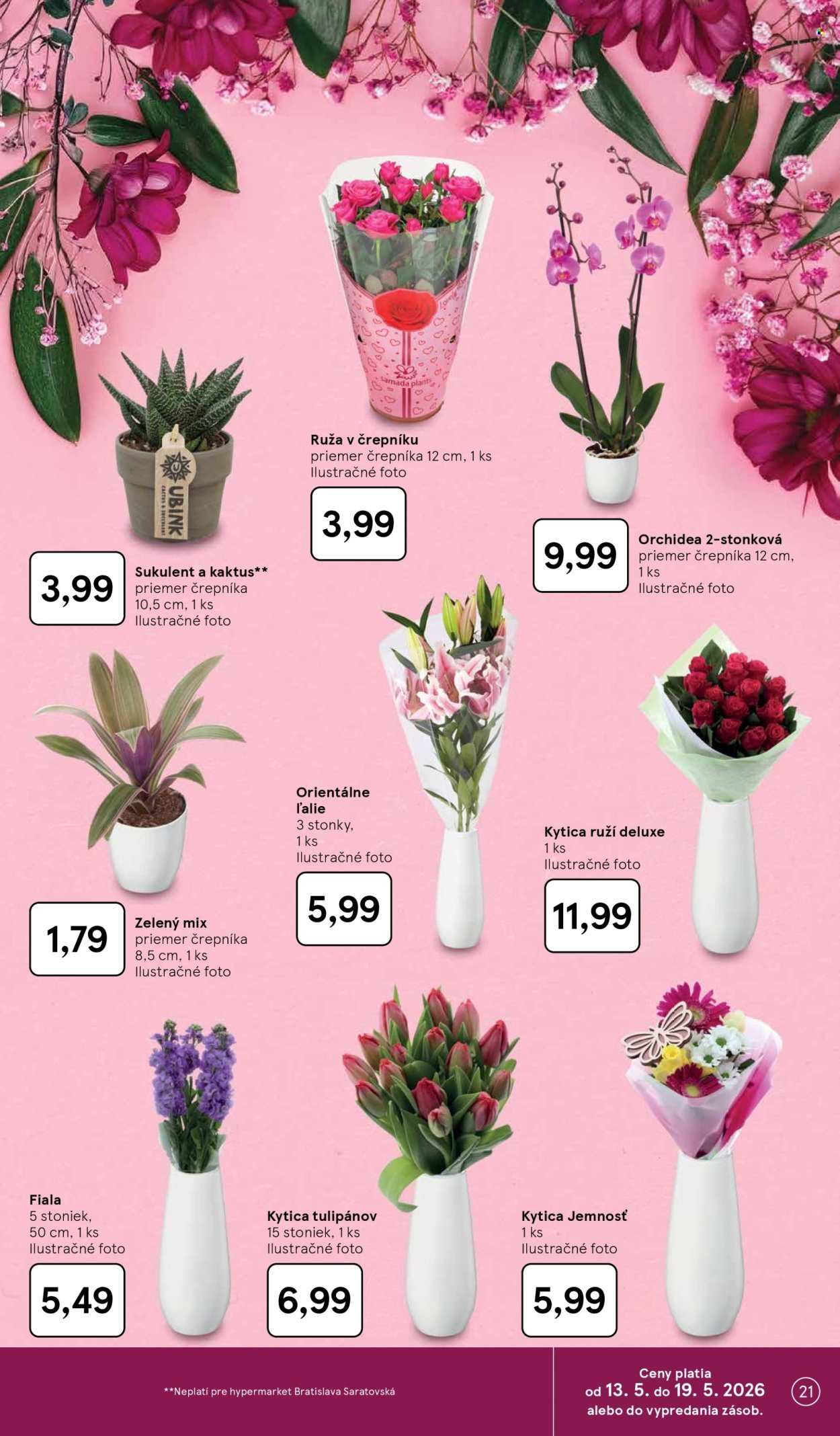 TESCO leták - Od stredy 13.5.2026 (2026-05-13 - 2026-05-19) | 21