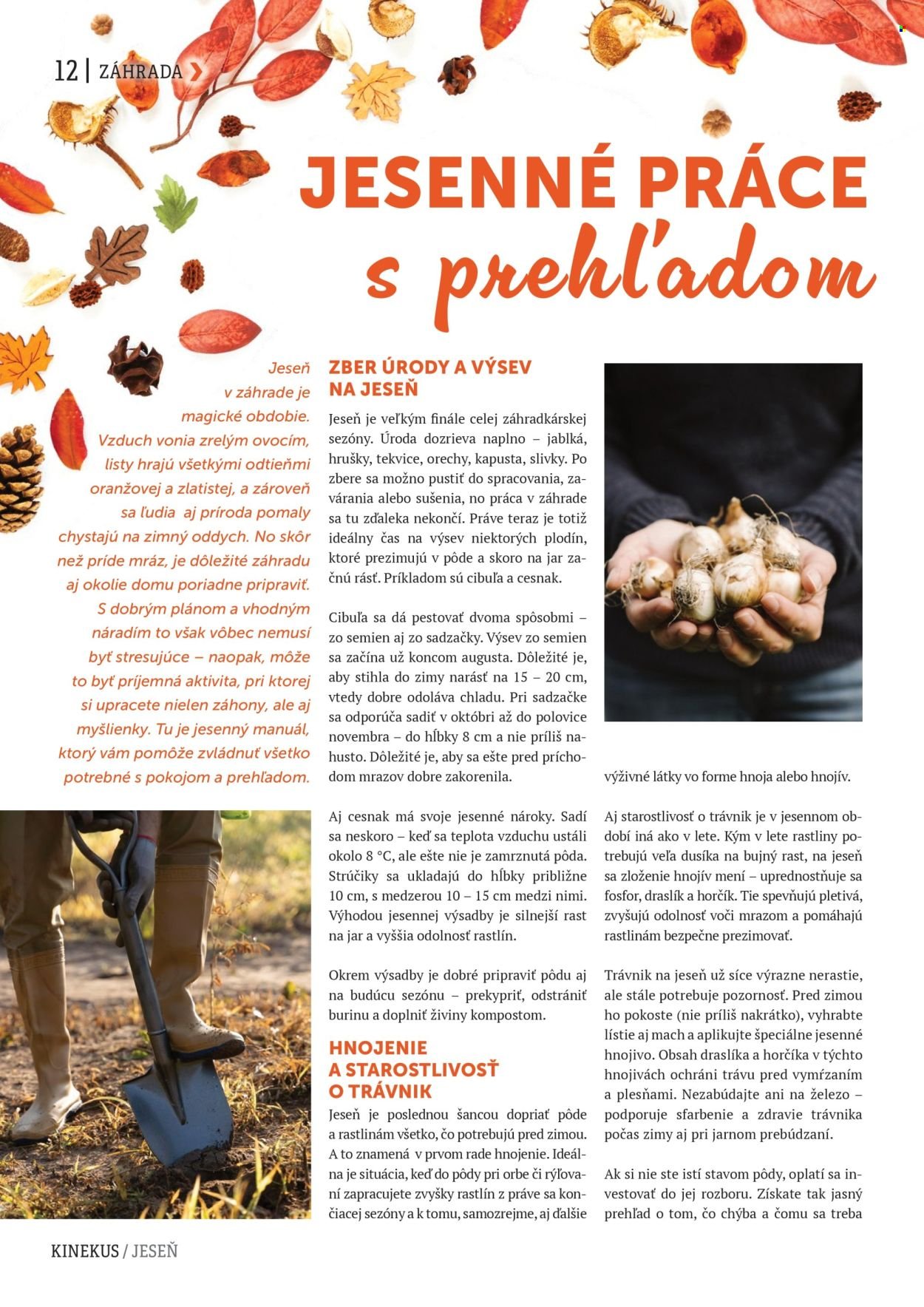 KINEKUS leták - K-Magazín Jeseň 2025 (2025-10-28) | 12