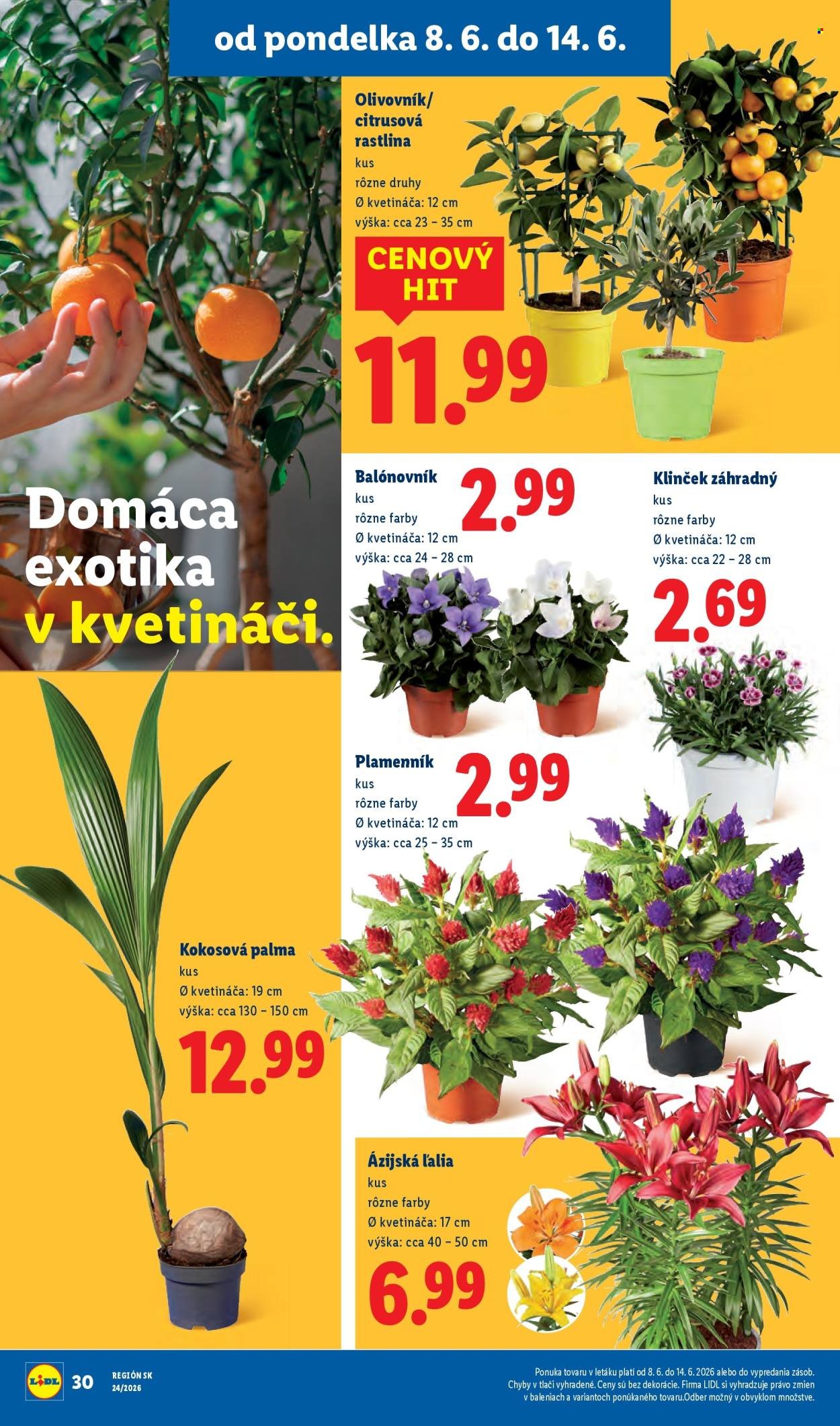 LIDL leták - Od pondelka 8.6.2026