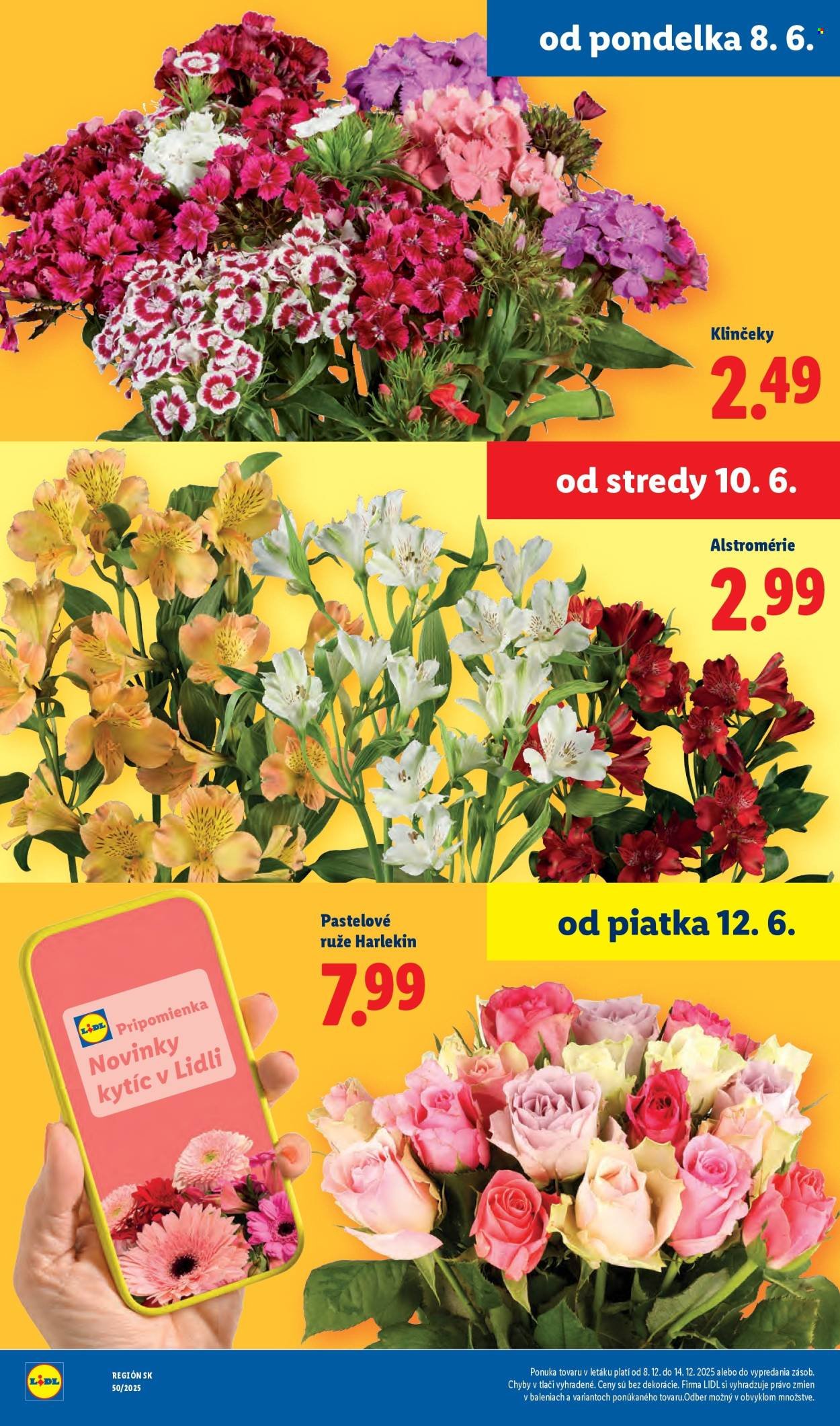 LIDL leták - Od pondelka 8.6.2026