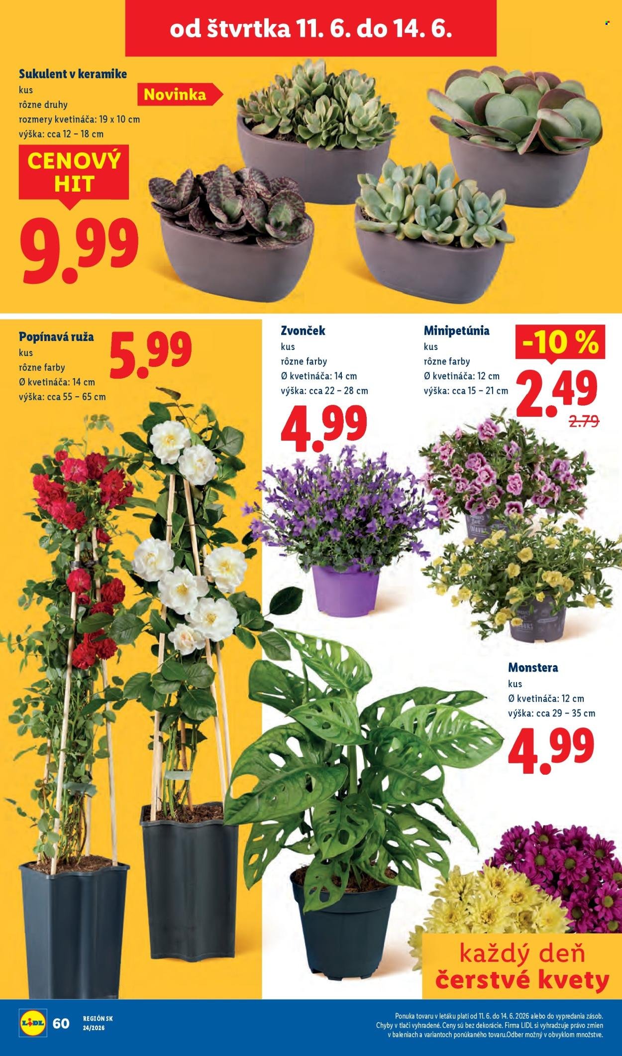 LIDL leták - Od pondelka 8.6.2026