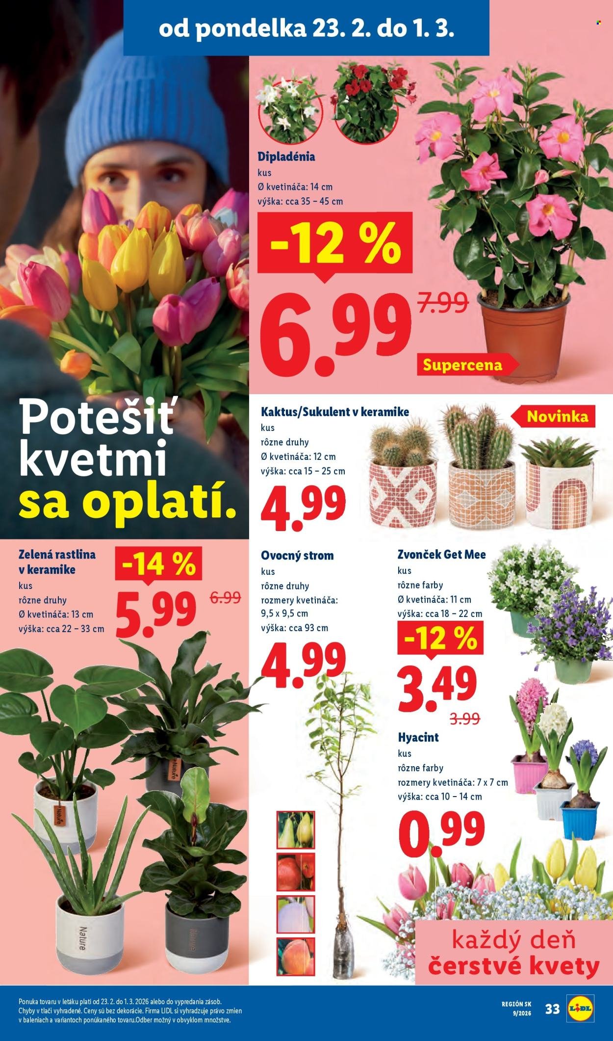 LIDL leták - Od pondelka 23.2.2026 (2026-02-23 - 2026-03-01) | 41