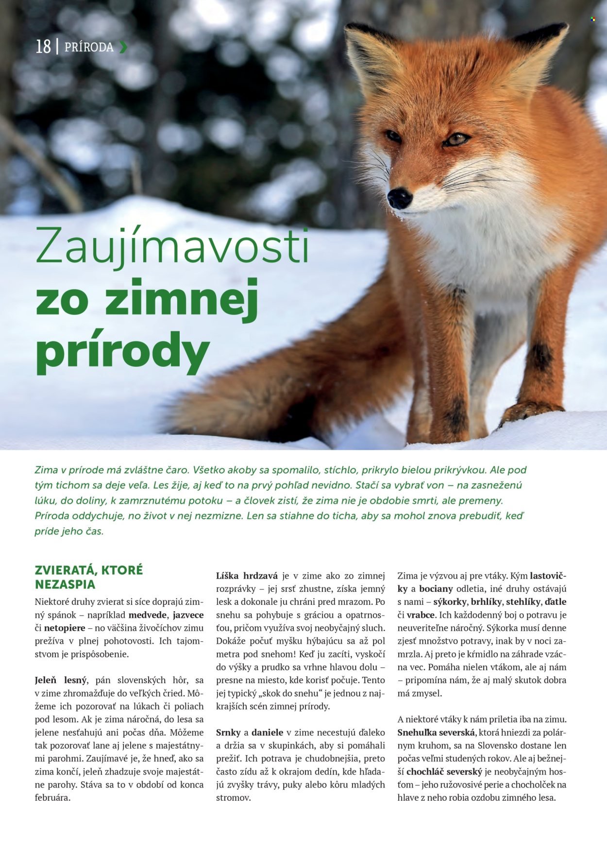 KINEKUS leták - K-Magazín Zima 2025 (2026-01-13) | 18