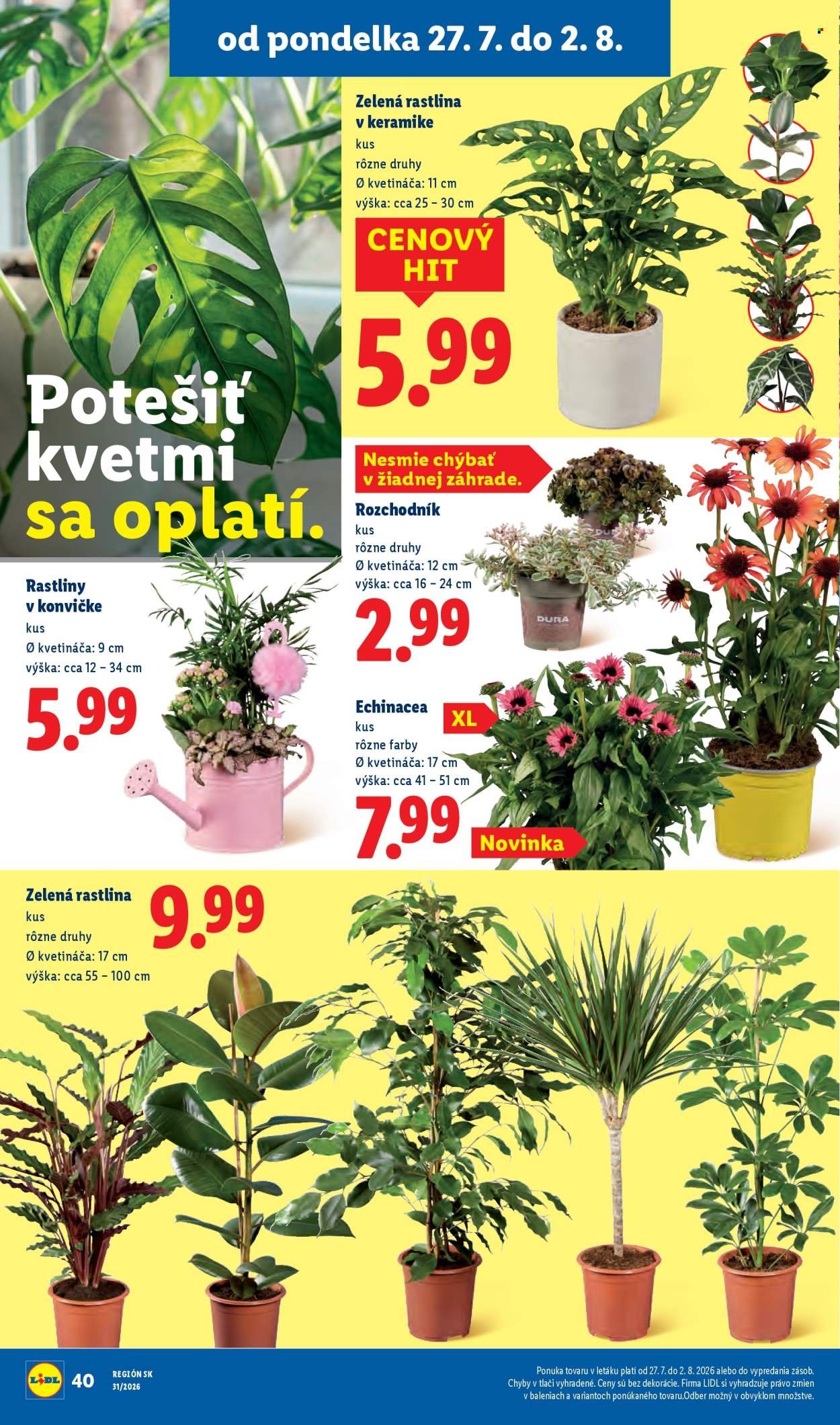 LIDL leták - Od pondelka 27.7.2026