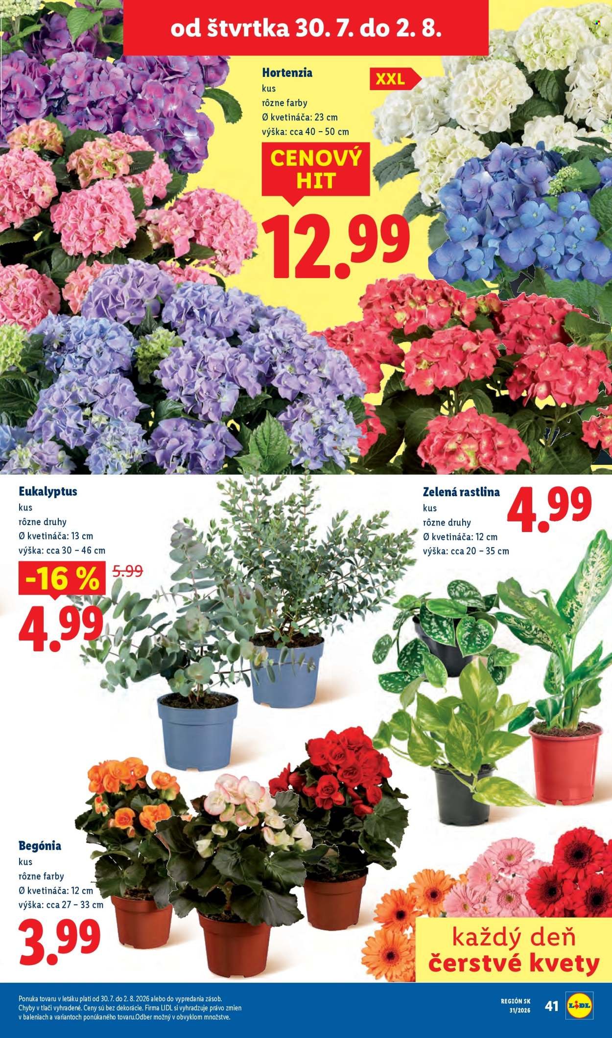 LIDL leták - Od pondelka 27.7.2026