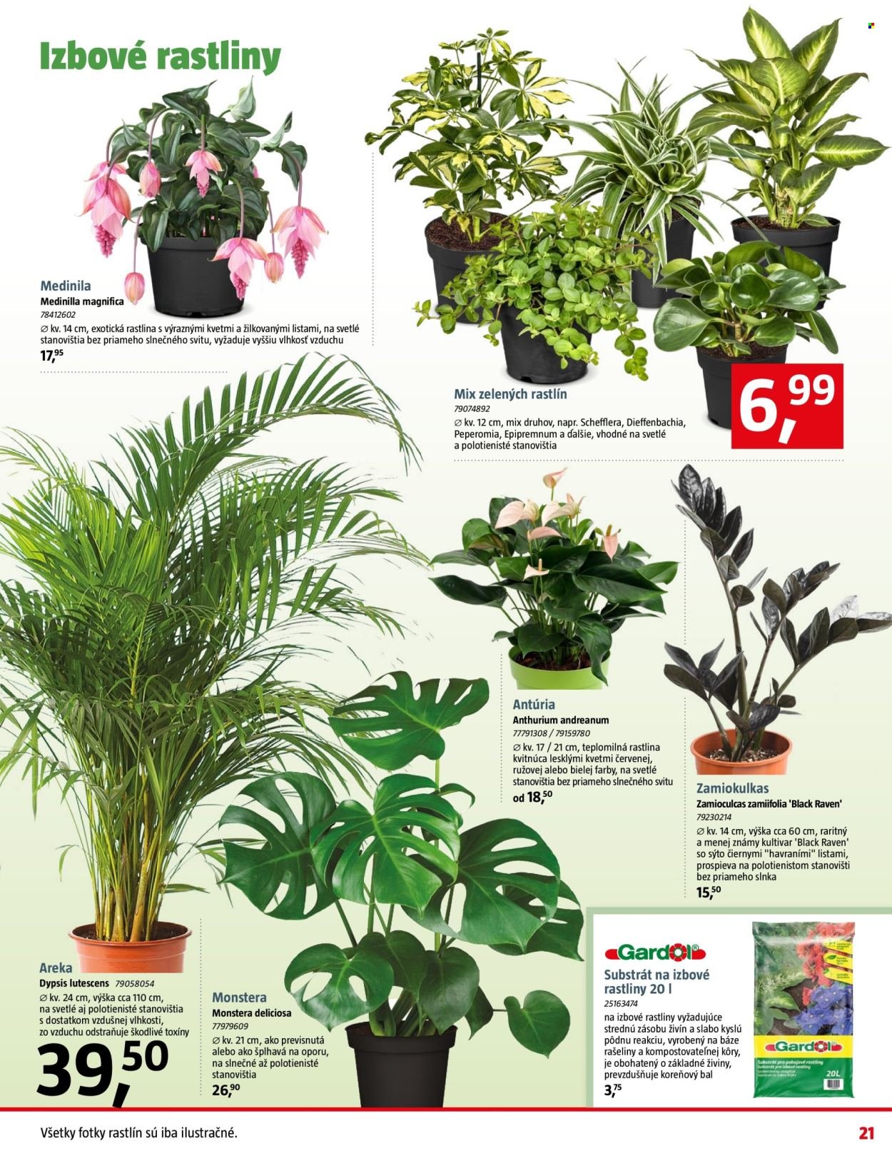 BAUHAUS leták - Aktuálna ponuka (2026-02-09 - 2026-03-08) | 21